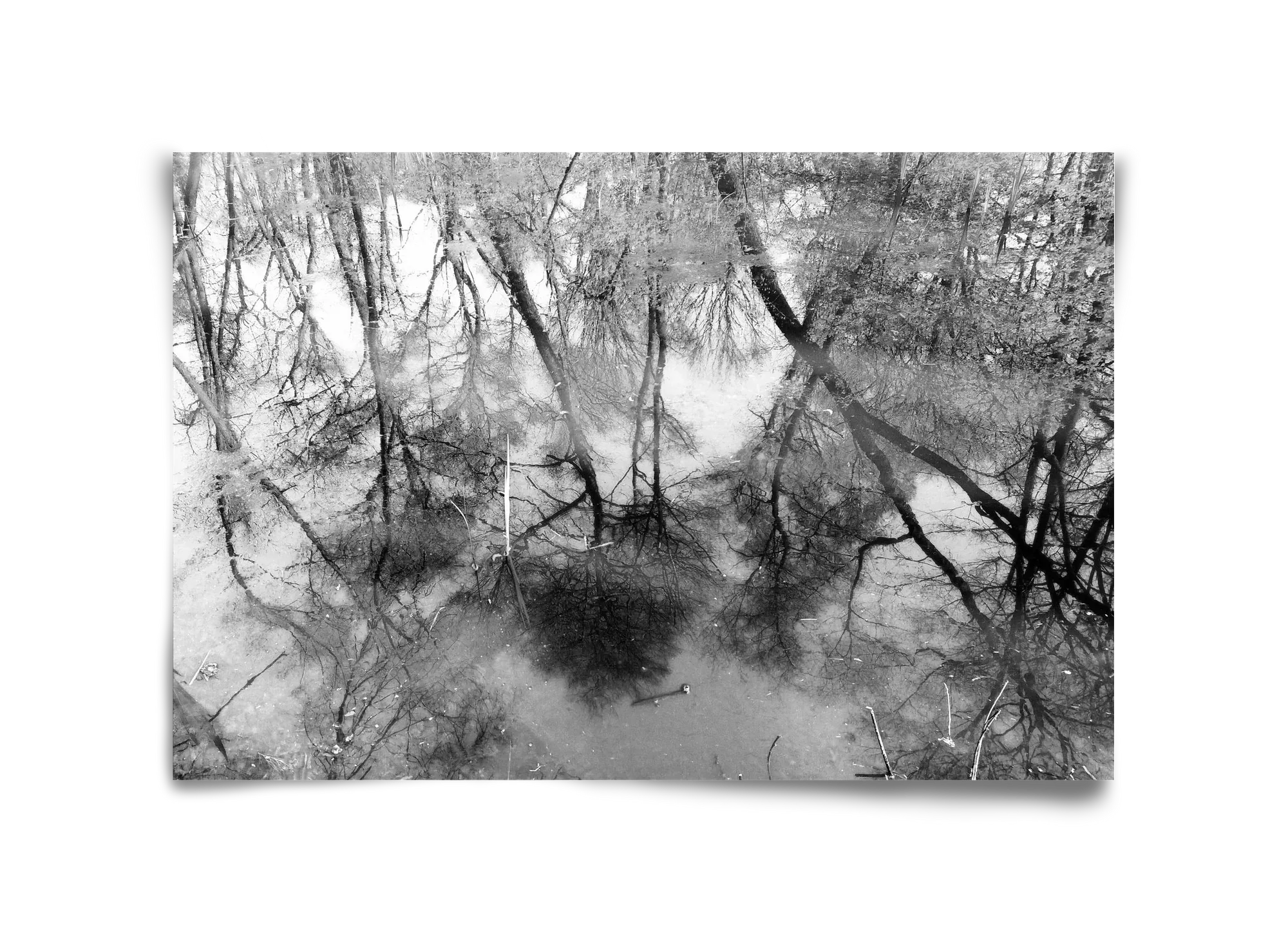 gloominess - artbridge