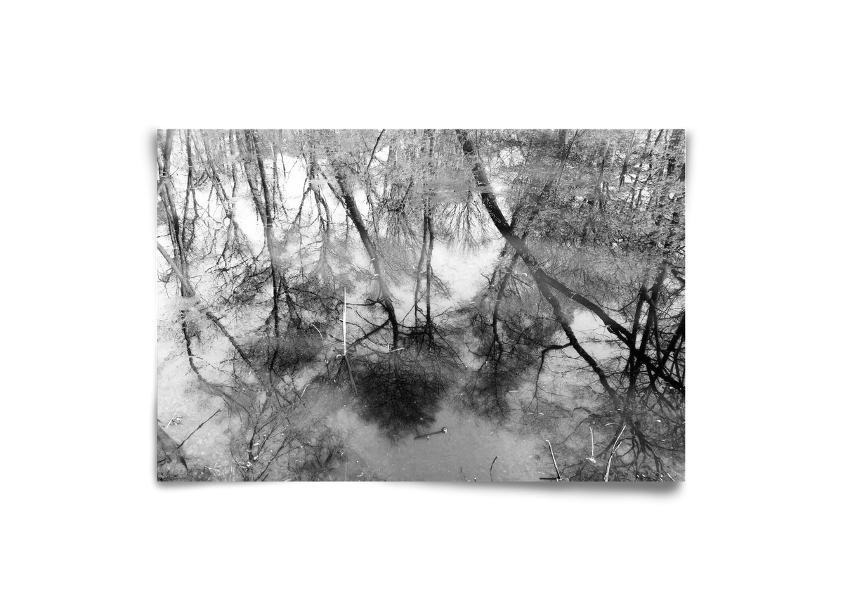 gloominess - artbridge