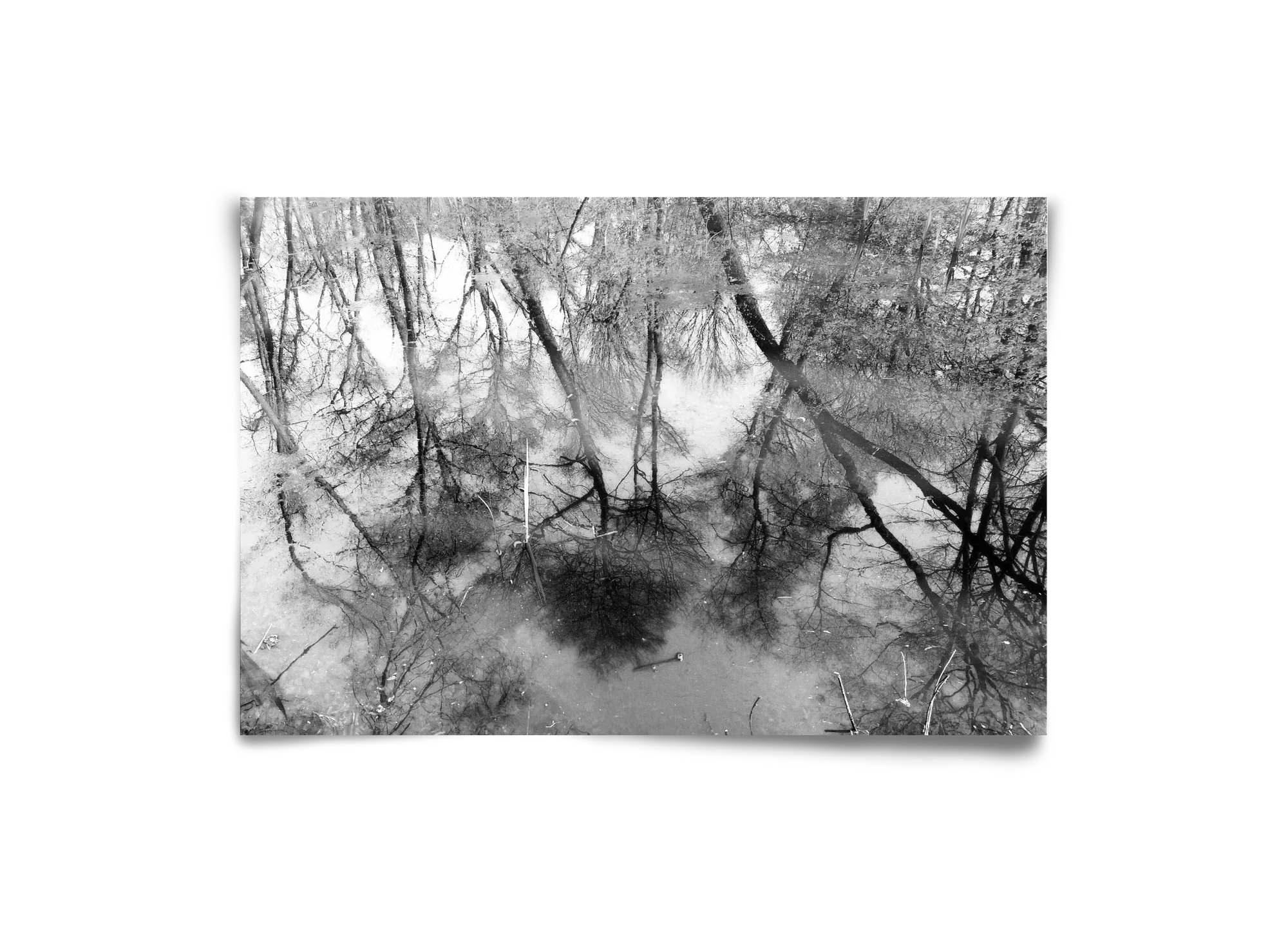 gloominess - artbridge