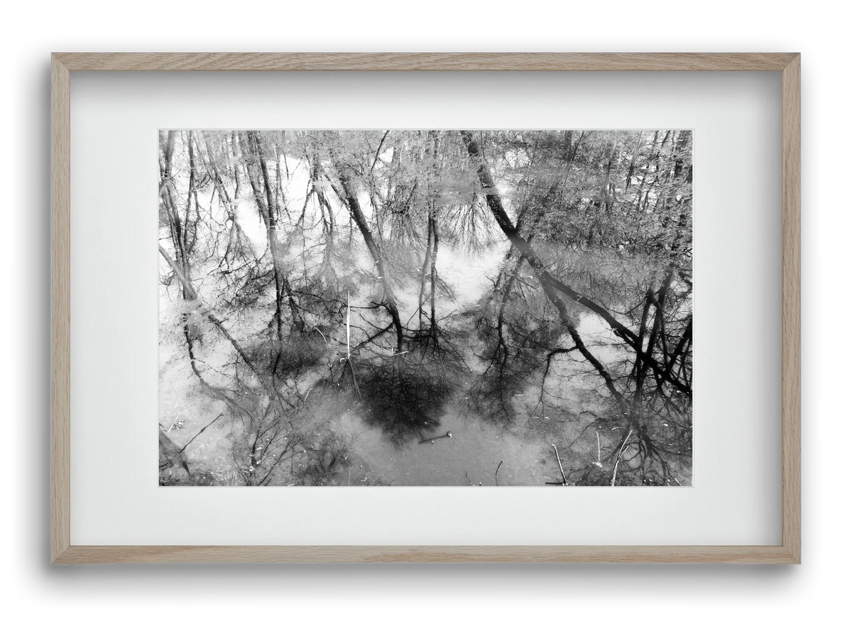 gloominess - artbridge