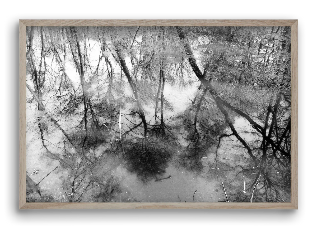 gloominess - artbridge
