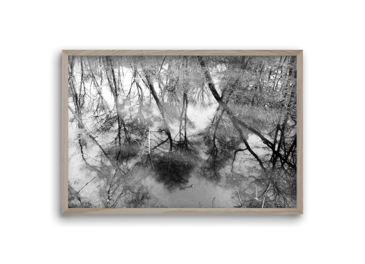 gloominess - artbridge