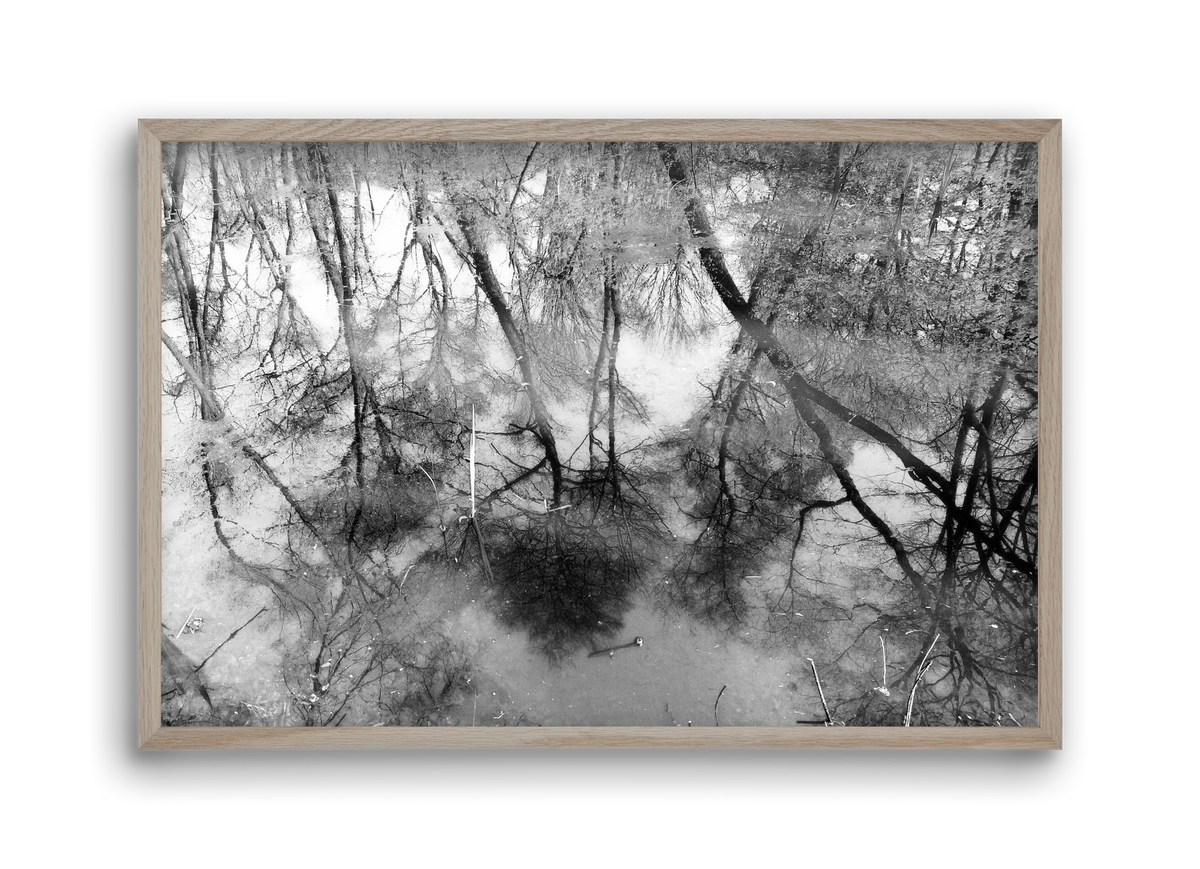 gloominess - artbridge