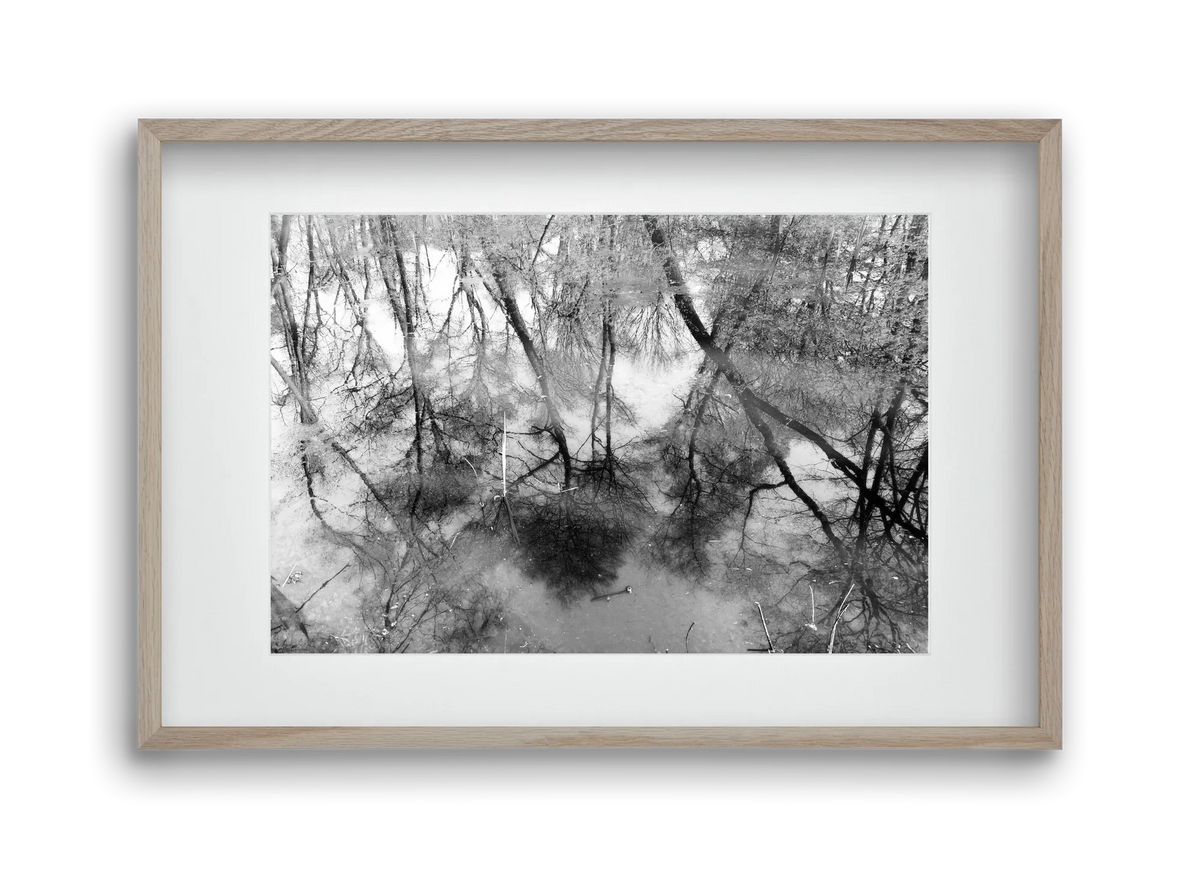 gloominess - artbridge