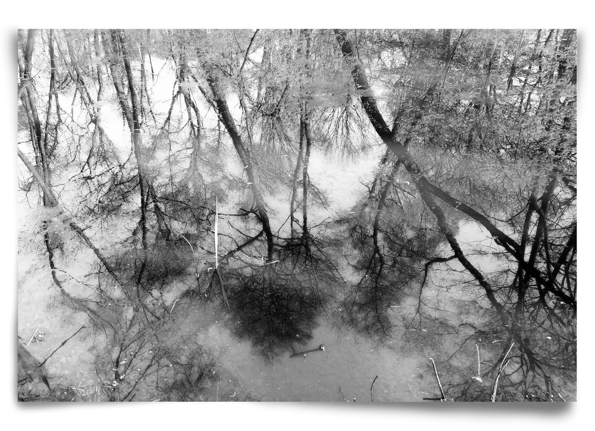 gloominess - artbridge
