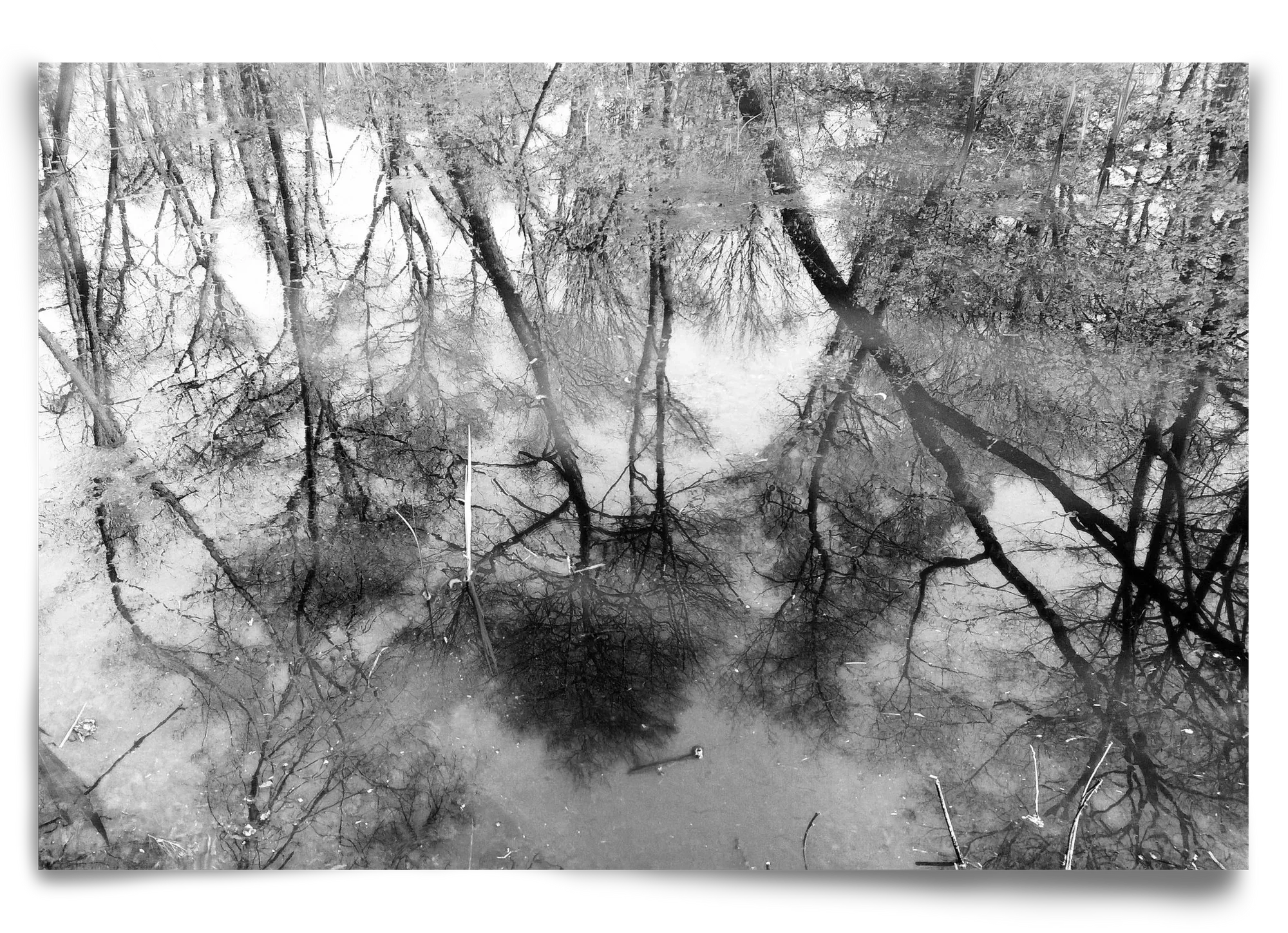 gloominess - artbridge