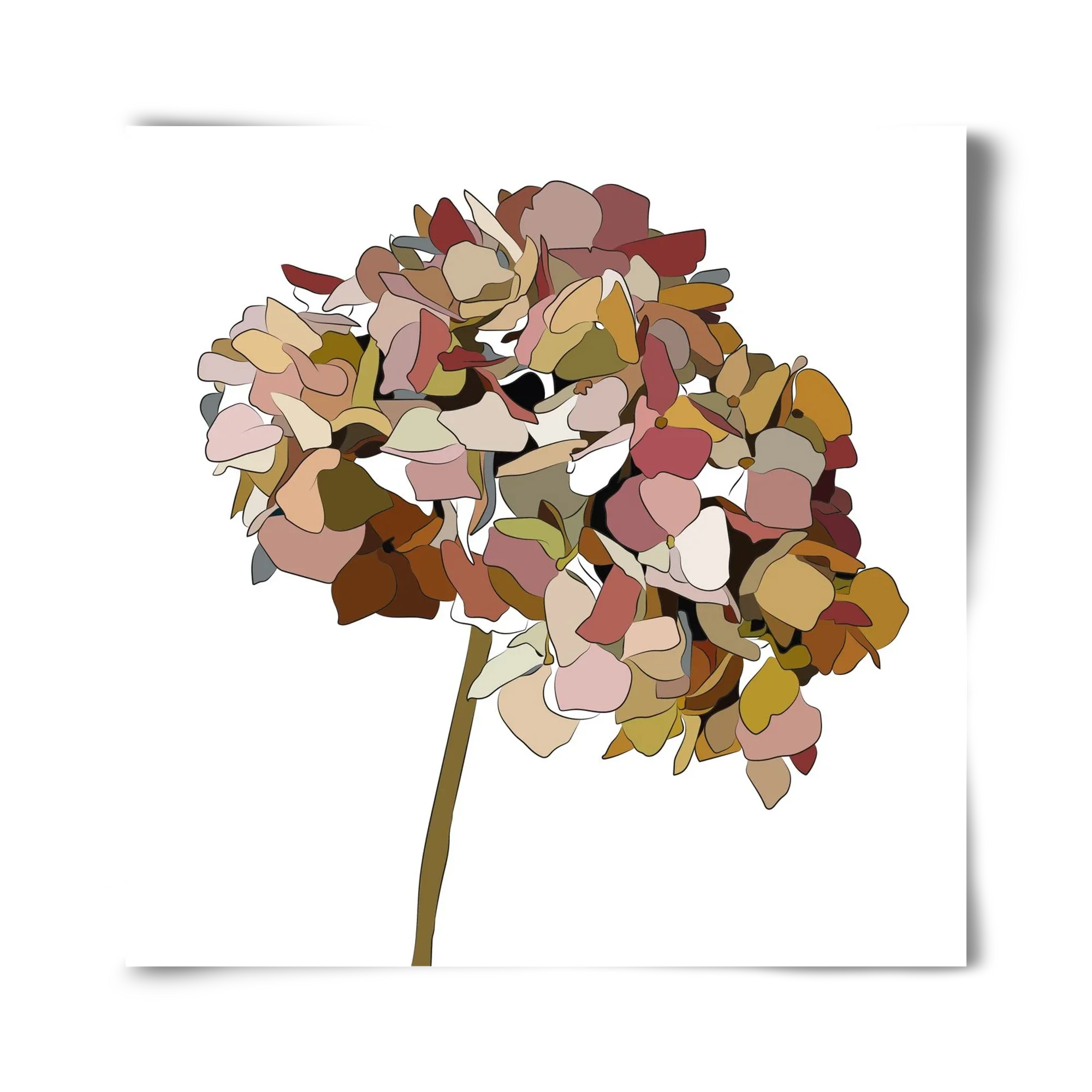 Hortenzia - artbridge