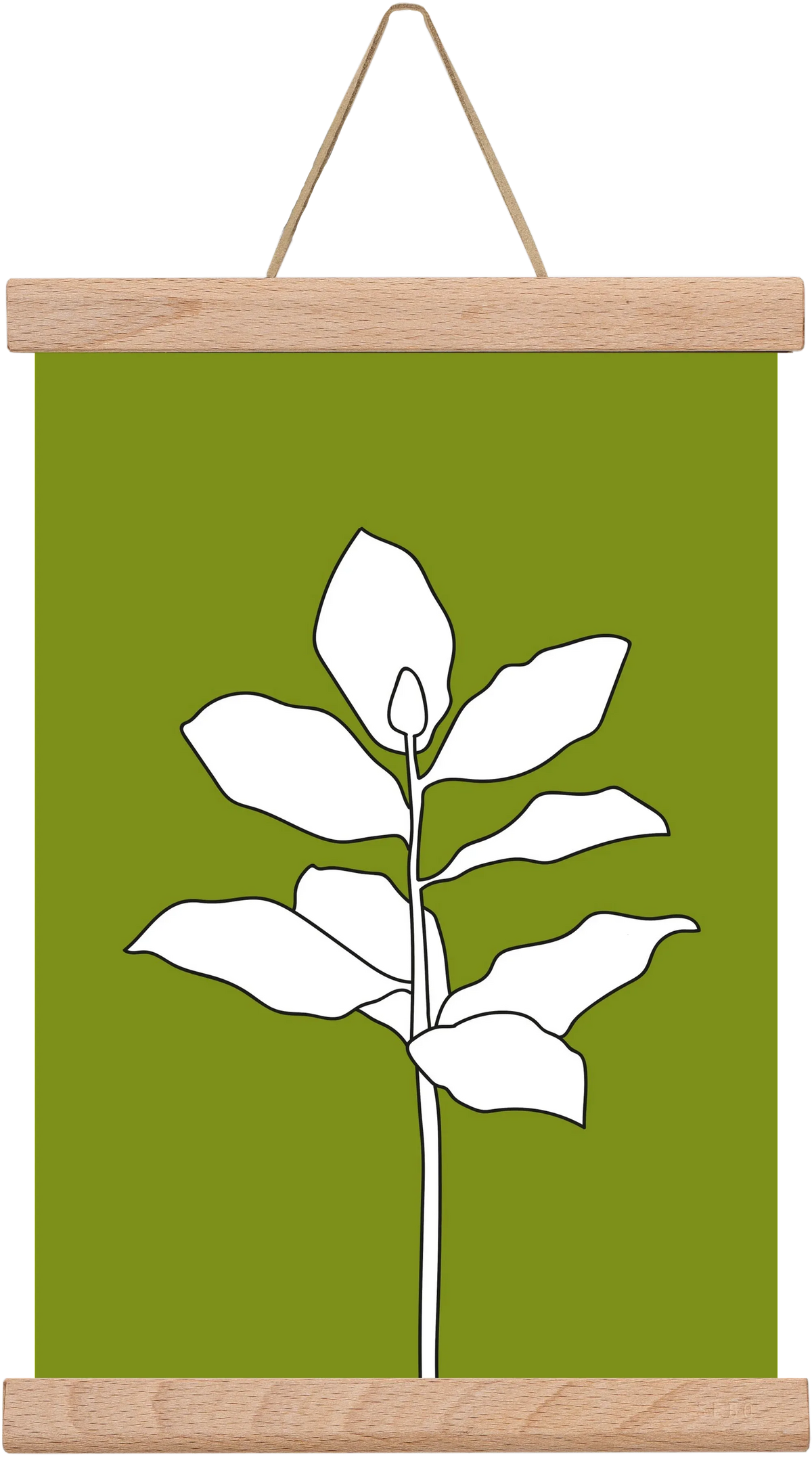 Magnolia 1 - artbridge