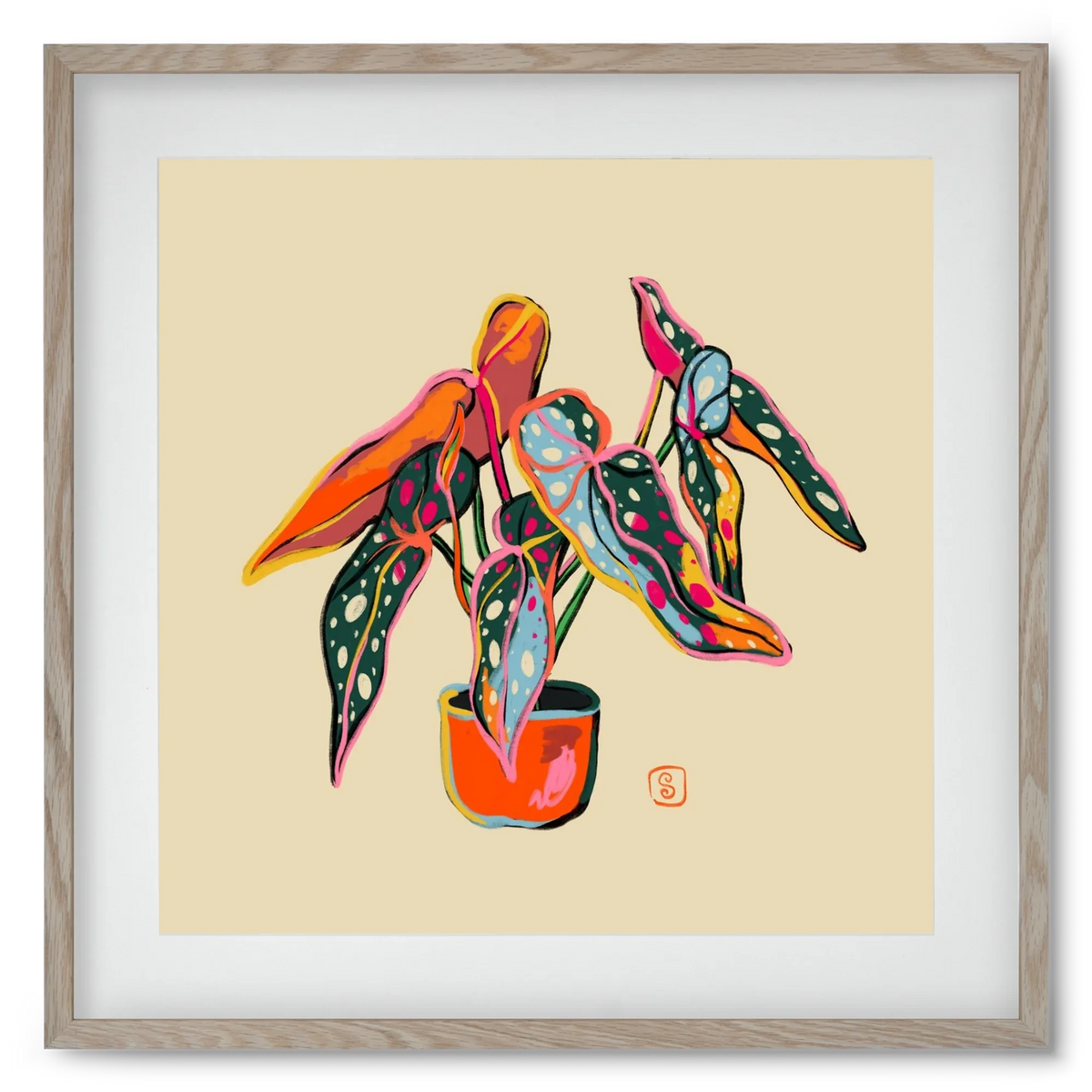 COLOURFUL BEGONIA PLANT - artbridge
