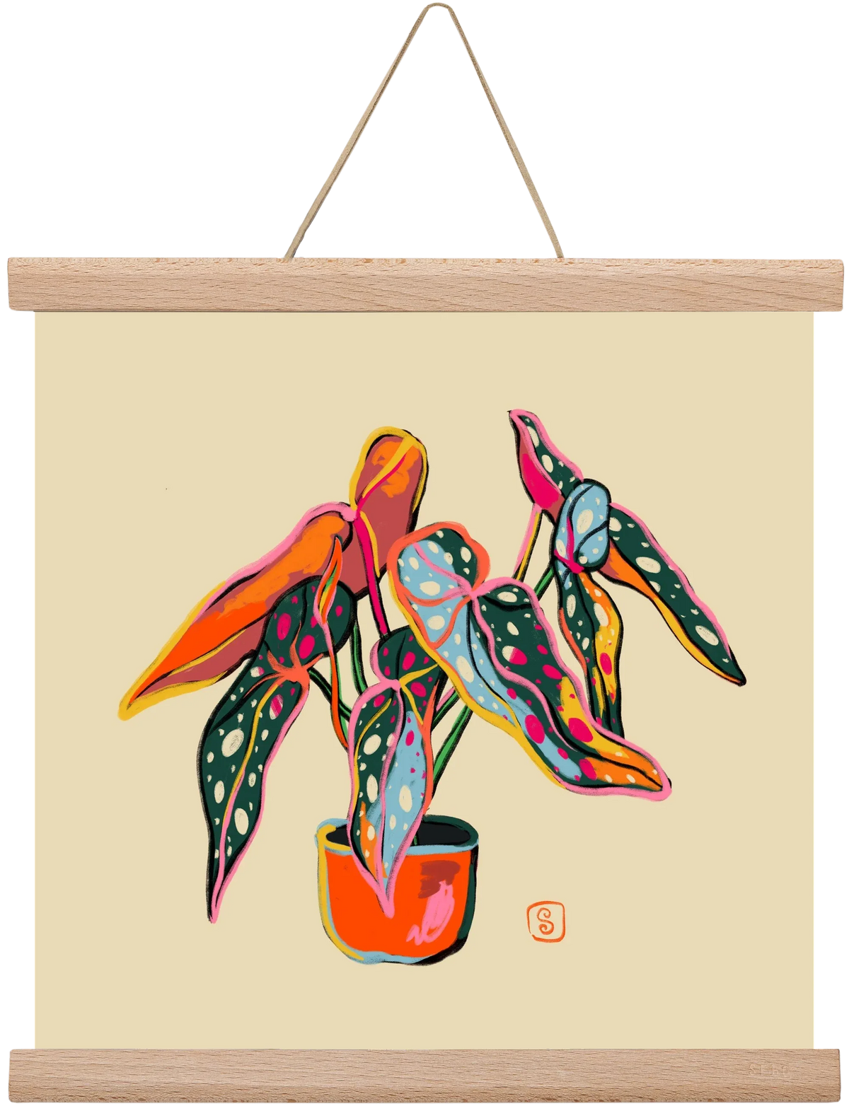 COLOURFUL BEGONIA PLANT - artbridge