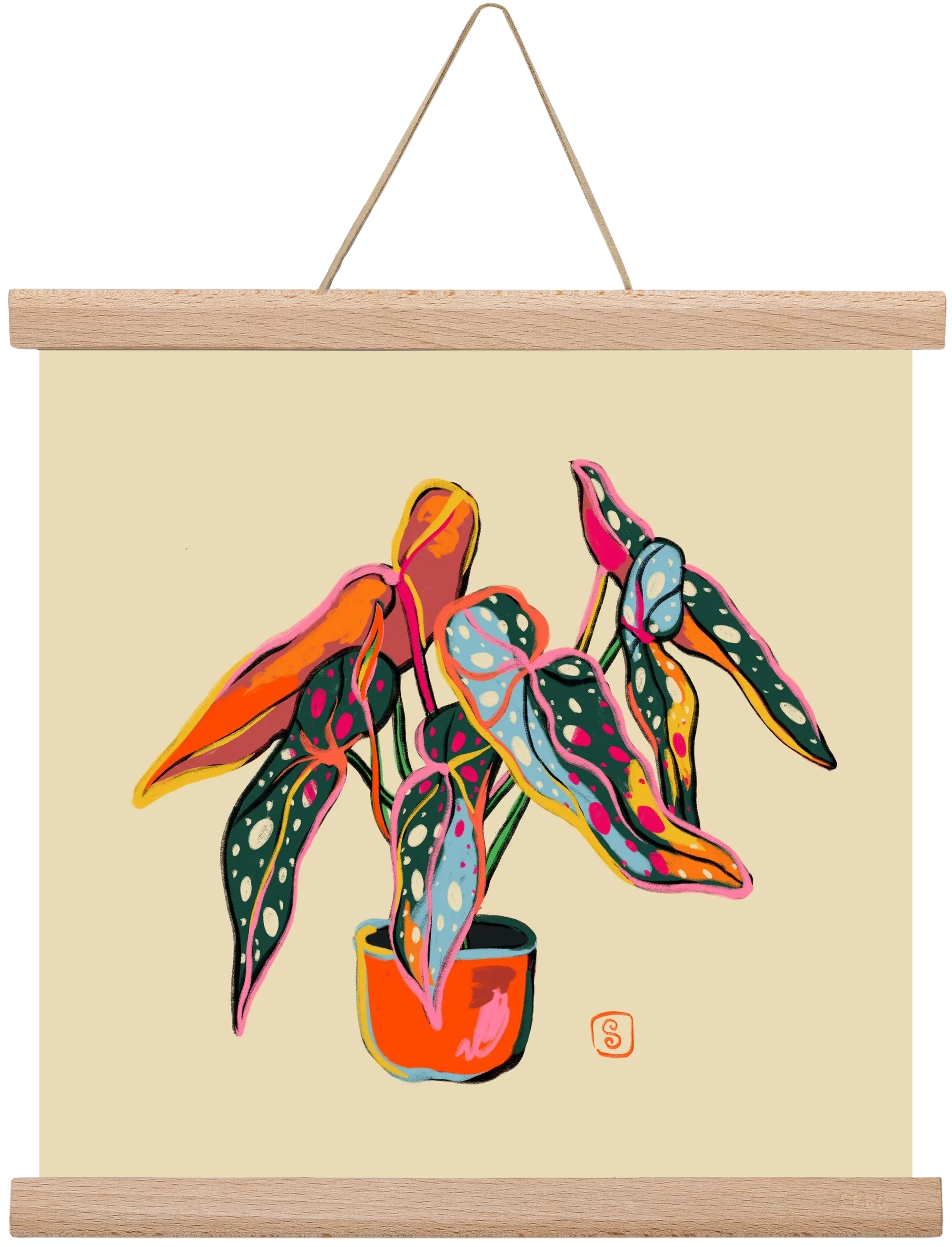 COLOURFUL BEGONIA PLANT - artbridge
