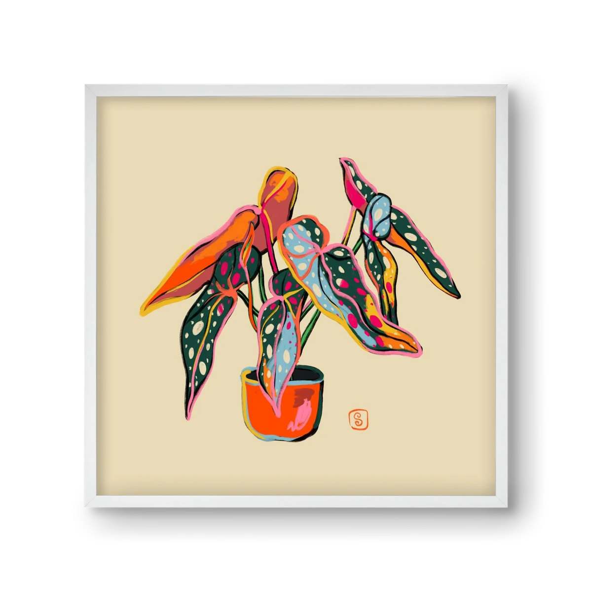 COLOURFUL BEGONIA PLANT - artbridge