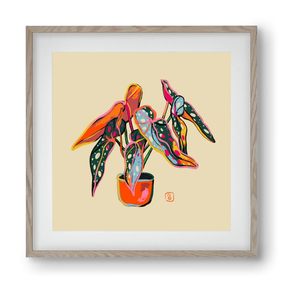 COLOURFUL BEGONIA PLANT - artbridge