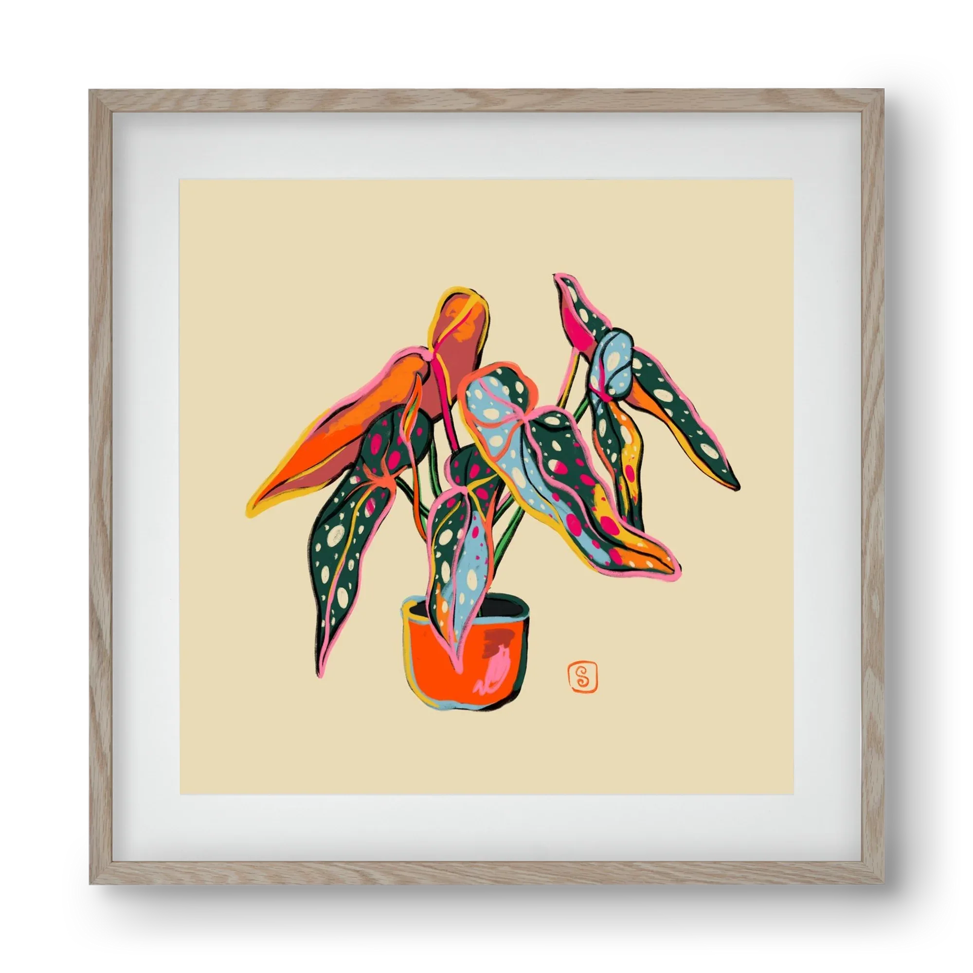 COLOURFUL BEGONIA PLANT - artbridge