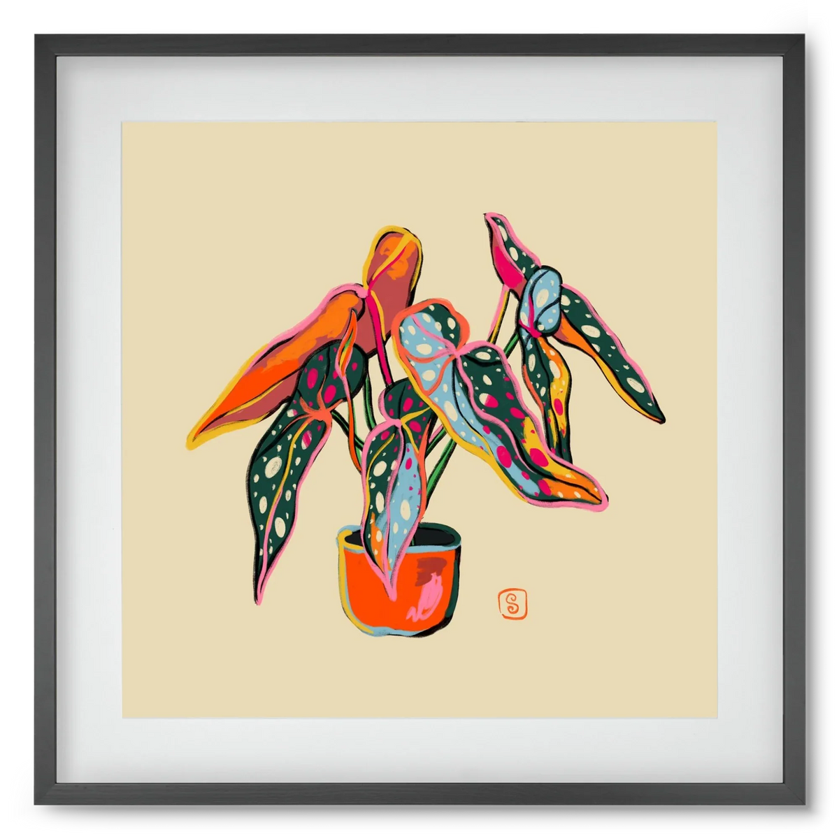 COLOURFUL BEGONIA PLANT - artbridge