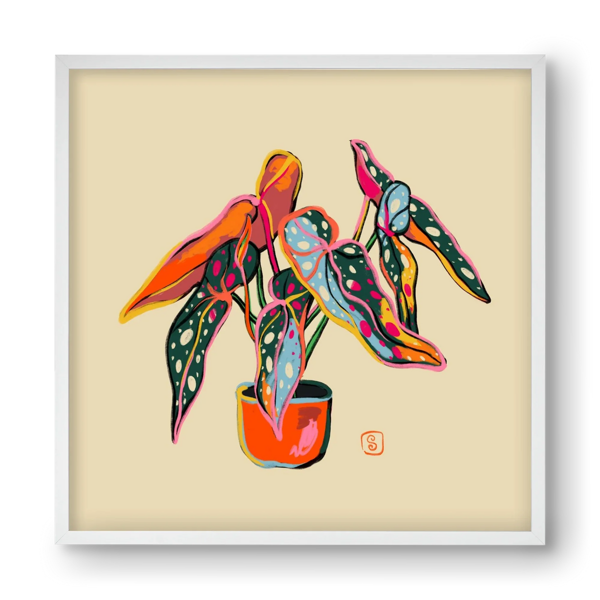 COLOURFUL BEGONIA PLANT - artbridge
