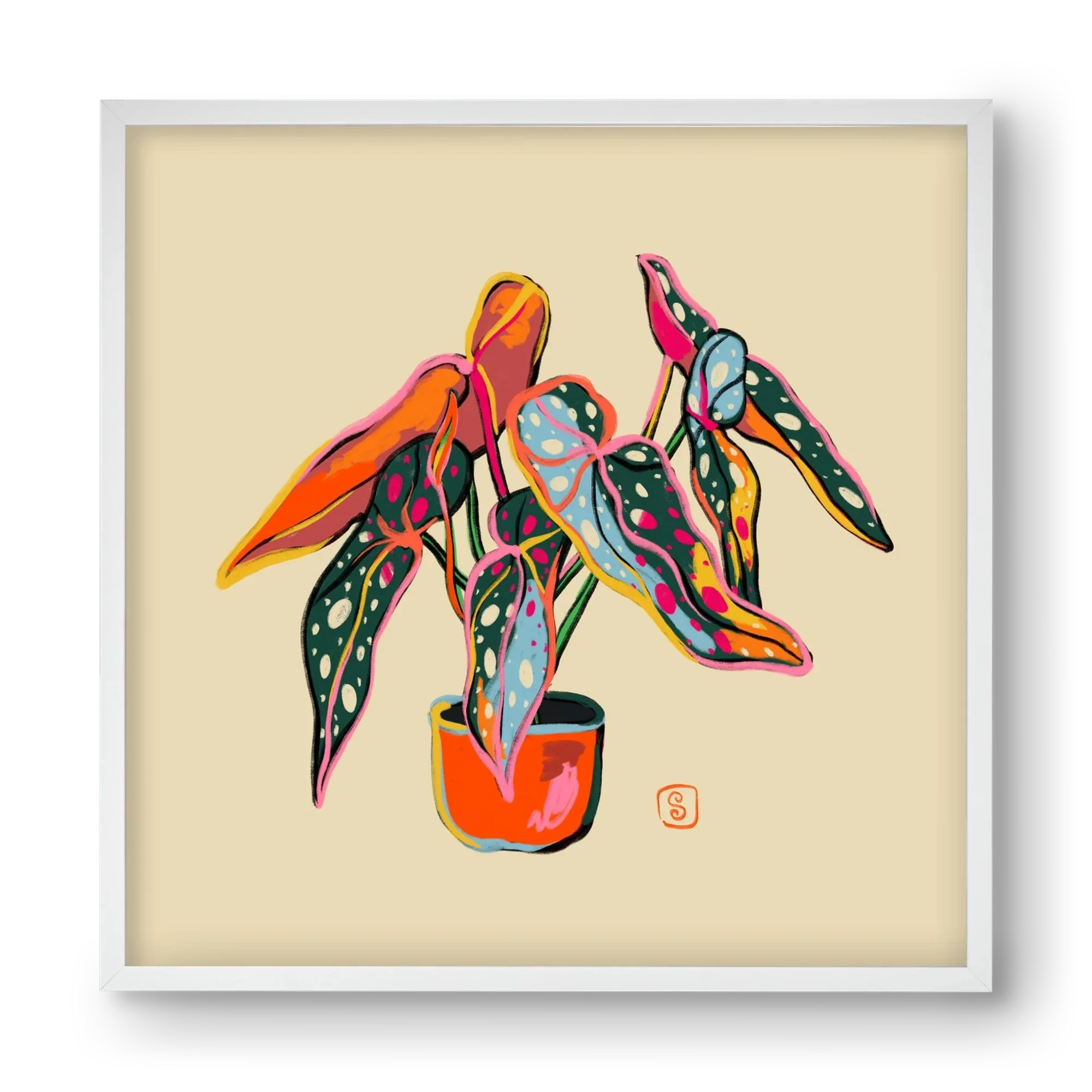 COLOURFUL BEGONIA PLANT - artbridge