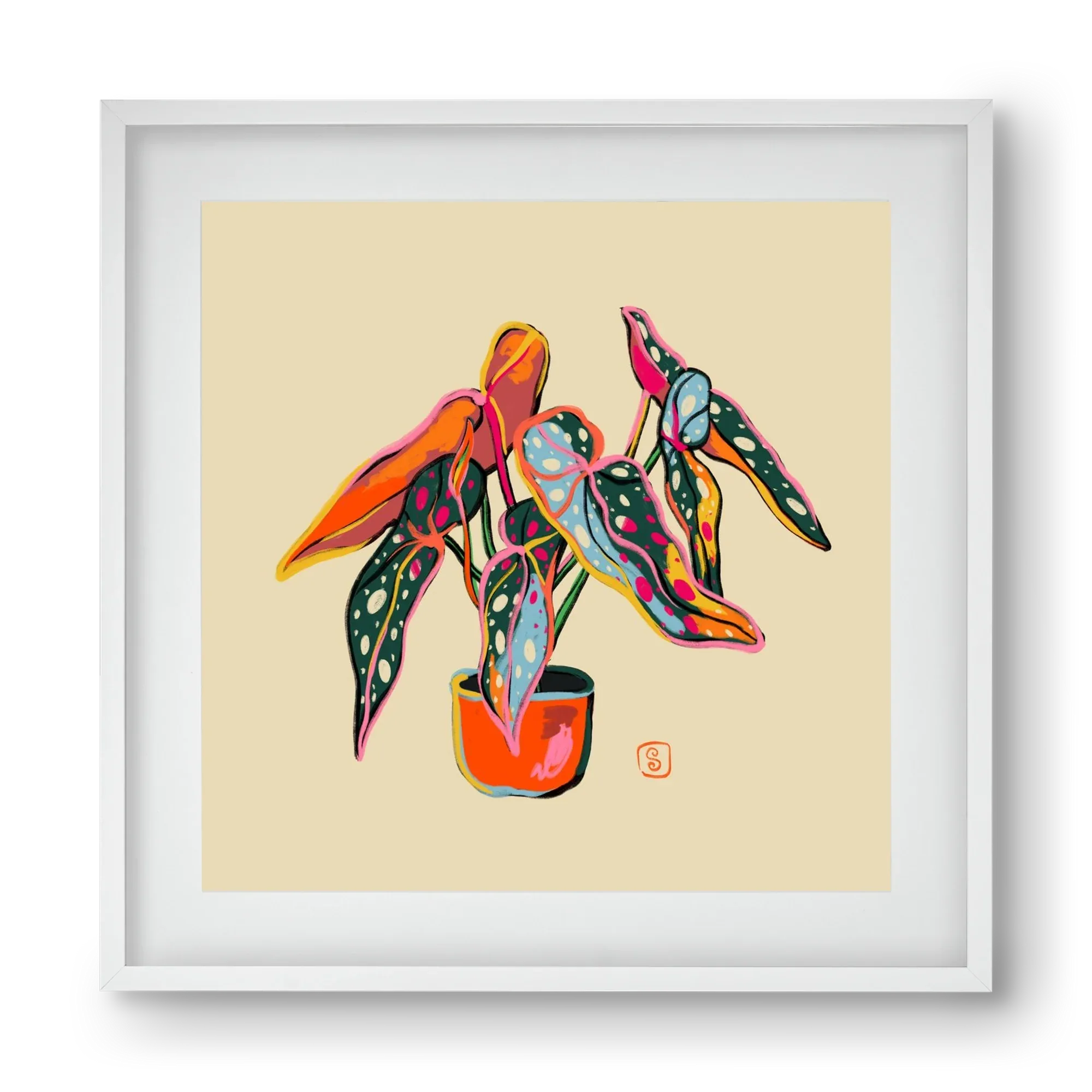COLOURFUL BEGONIA PLANT - artbridge