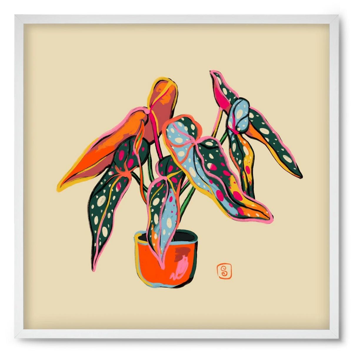 COLOURFUL BEGONIA PLANT - artbridge