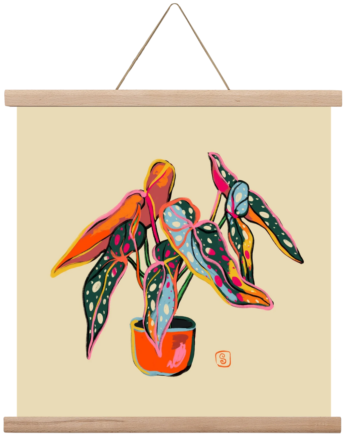 COLOURFUL BEGONIA PLANT - artbridge