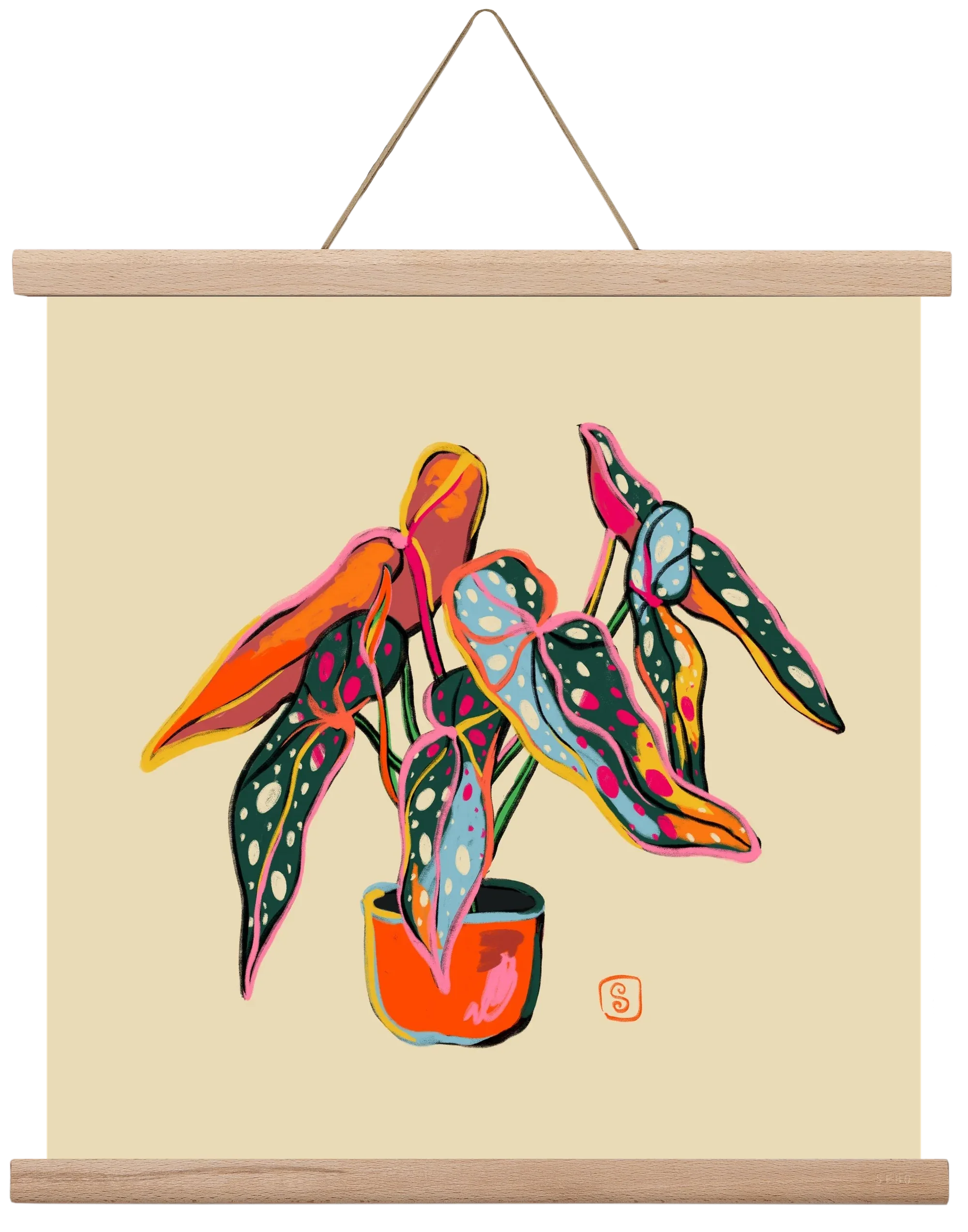 COLOURFUL BEGONIA PLANT - artbridge