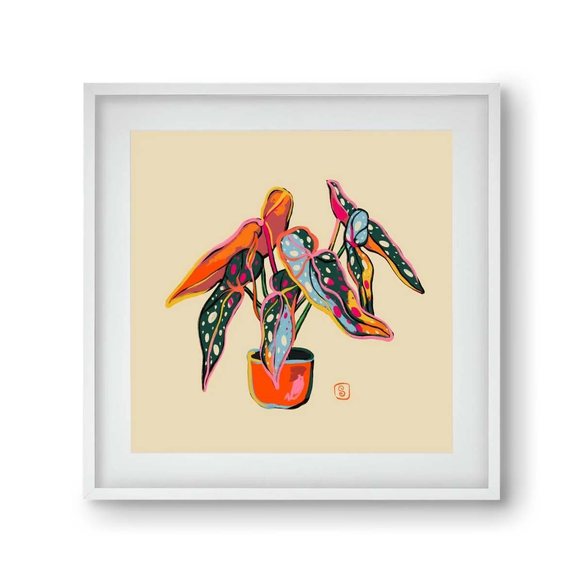 COLOURFUL BEGONIA PLANT - artbridge
