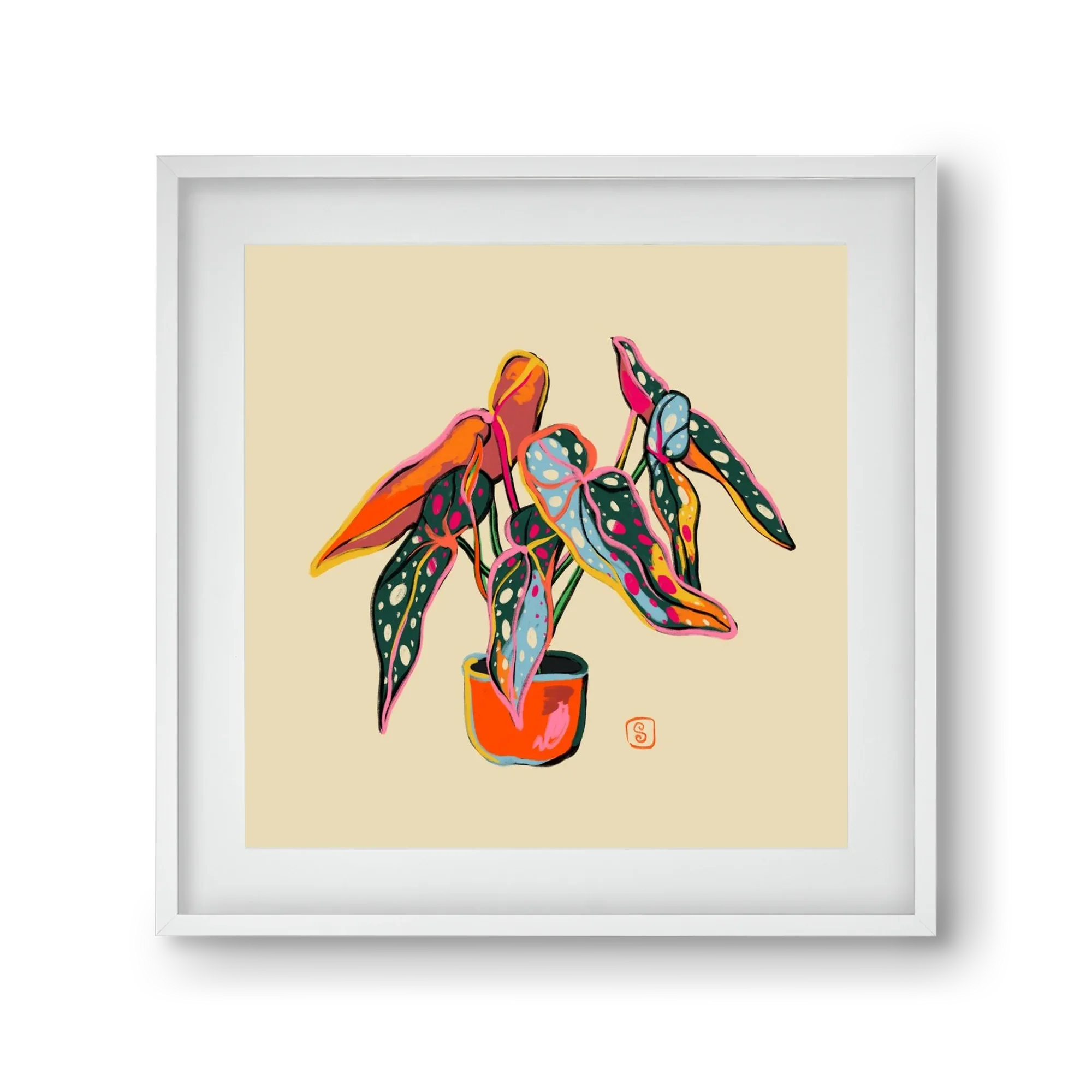 COLOURFUL BEGONIA PLANT - artbridge