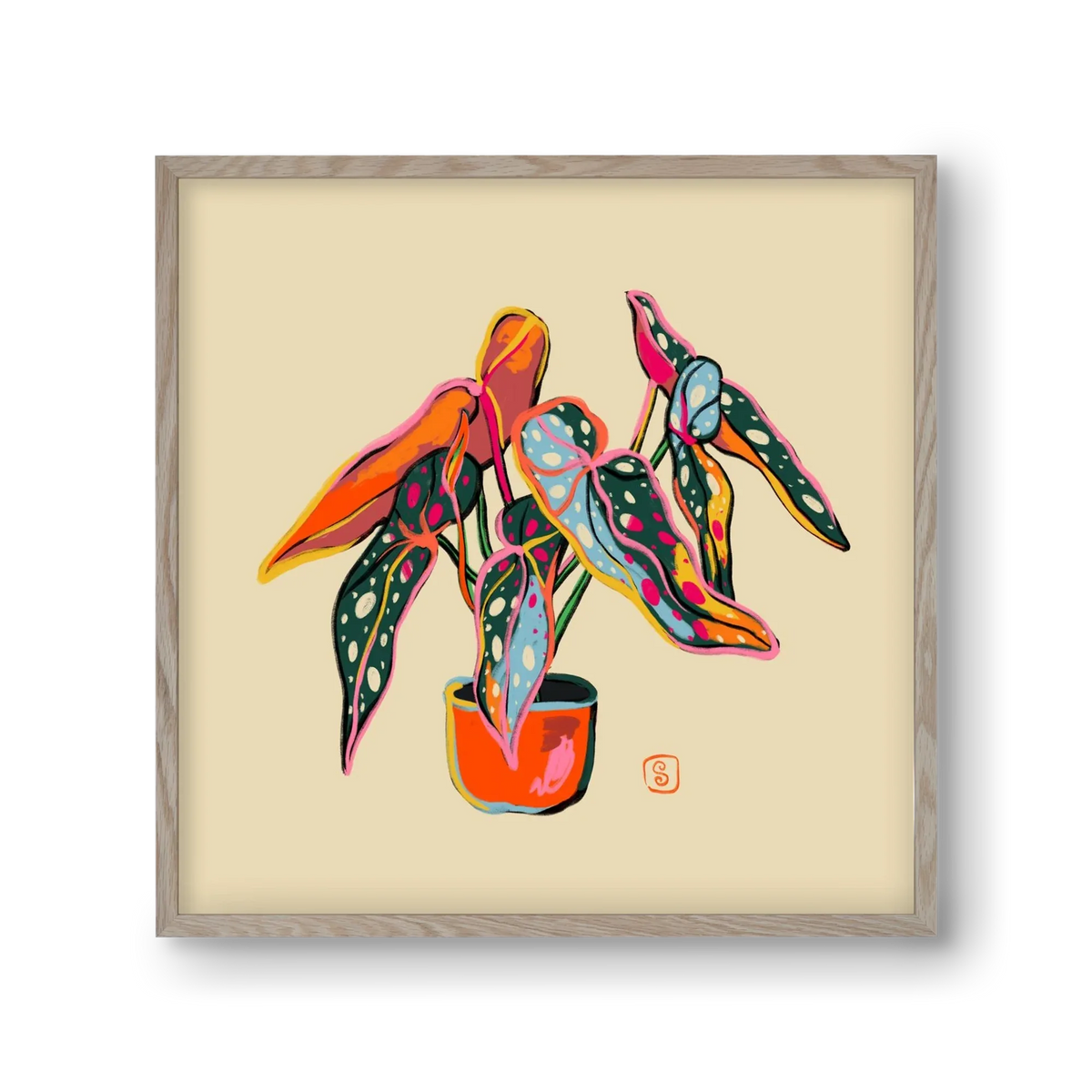 COLOURFUL BEGONIA PLANT - artbridge