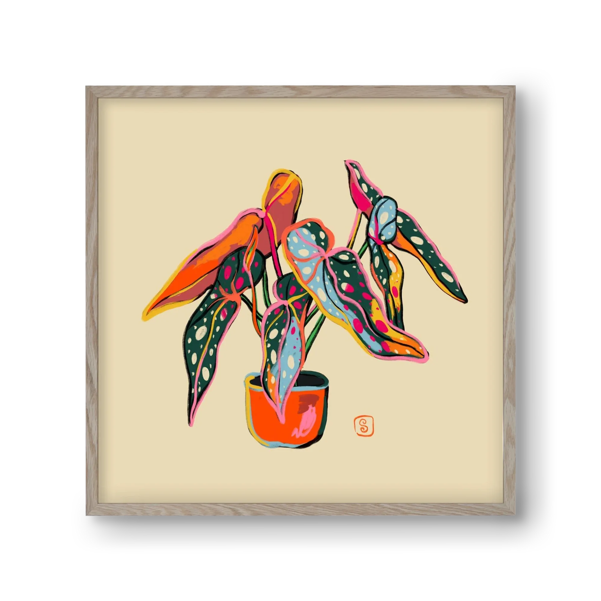 COLOURFUL BEGONIA PLANT - artbridge