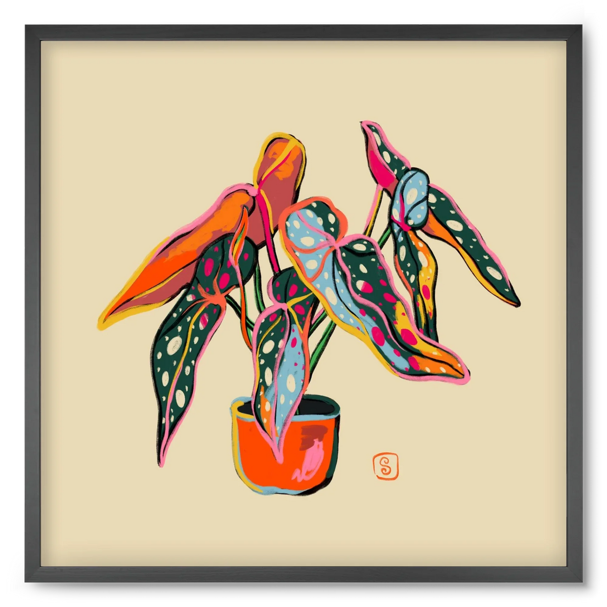 COLOURFUL BEGONIA PLANT - artbridge