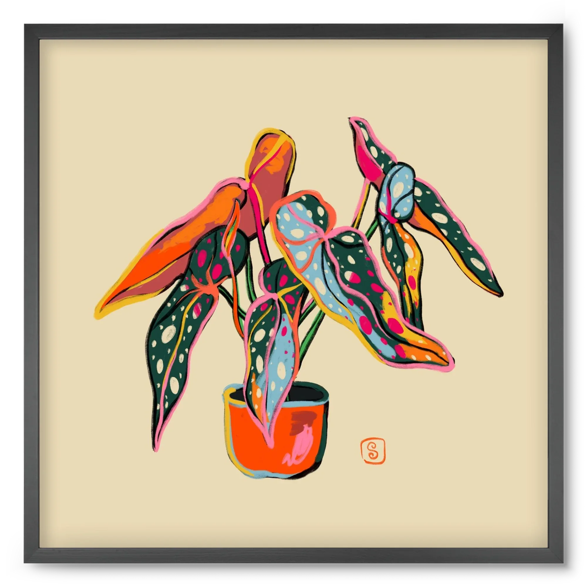 COLOURFUL BEGONIA PLANT - artbridge