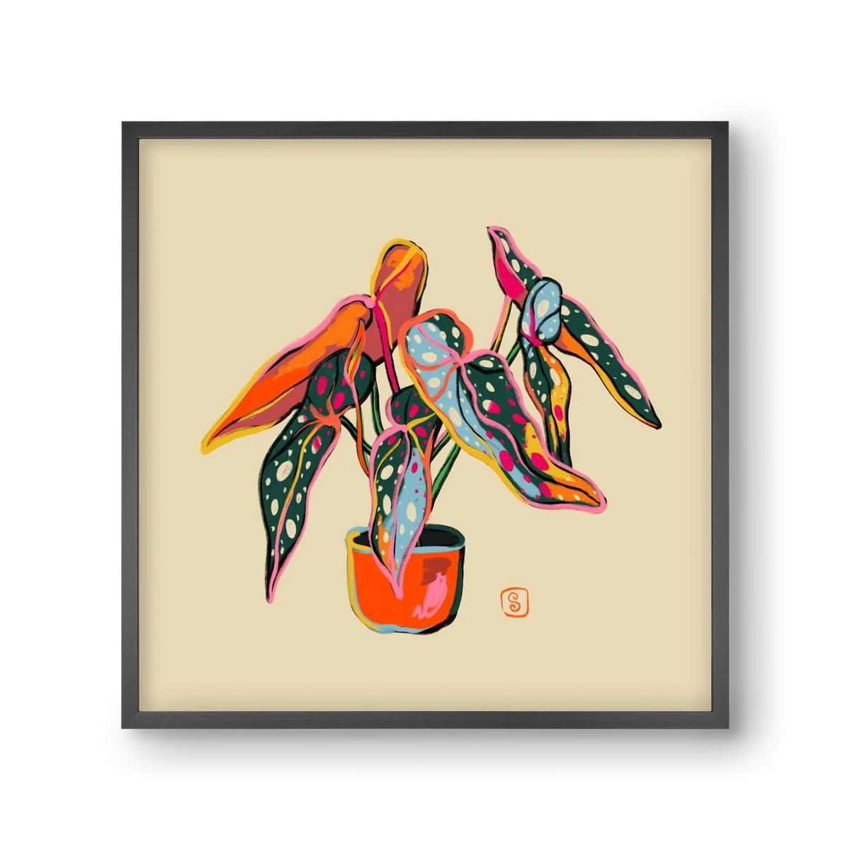 COLOURFUL BEGONIA PLANT - artbridge