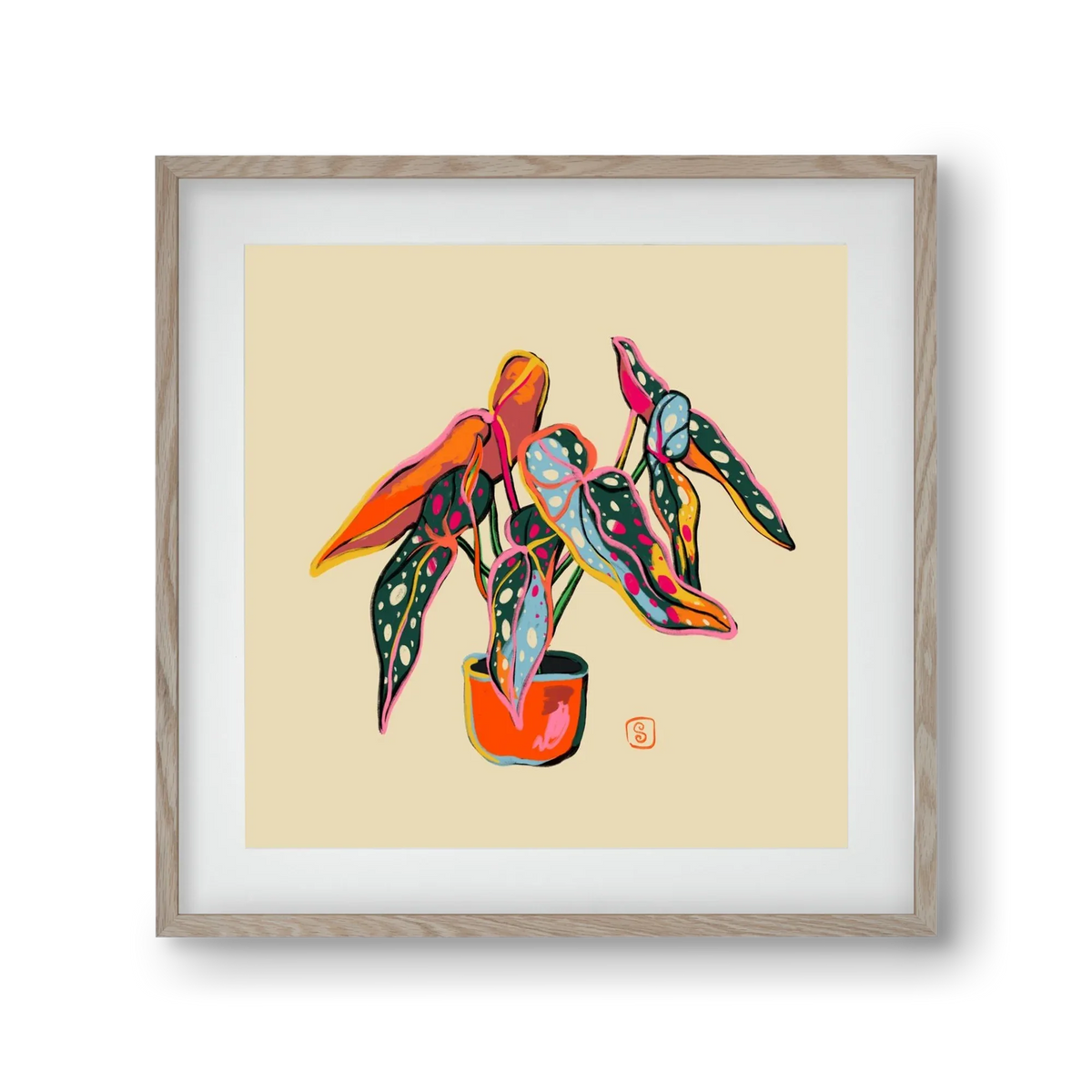 COLOURFUL BEGONIA PLANT - artbridge