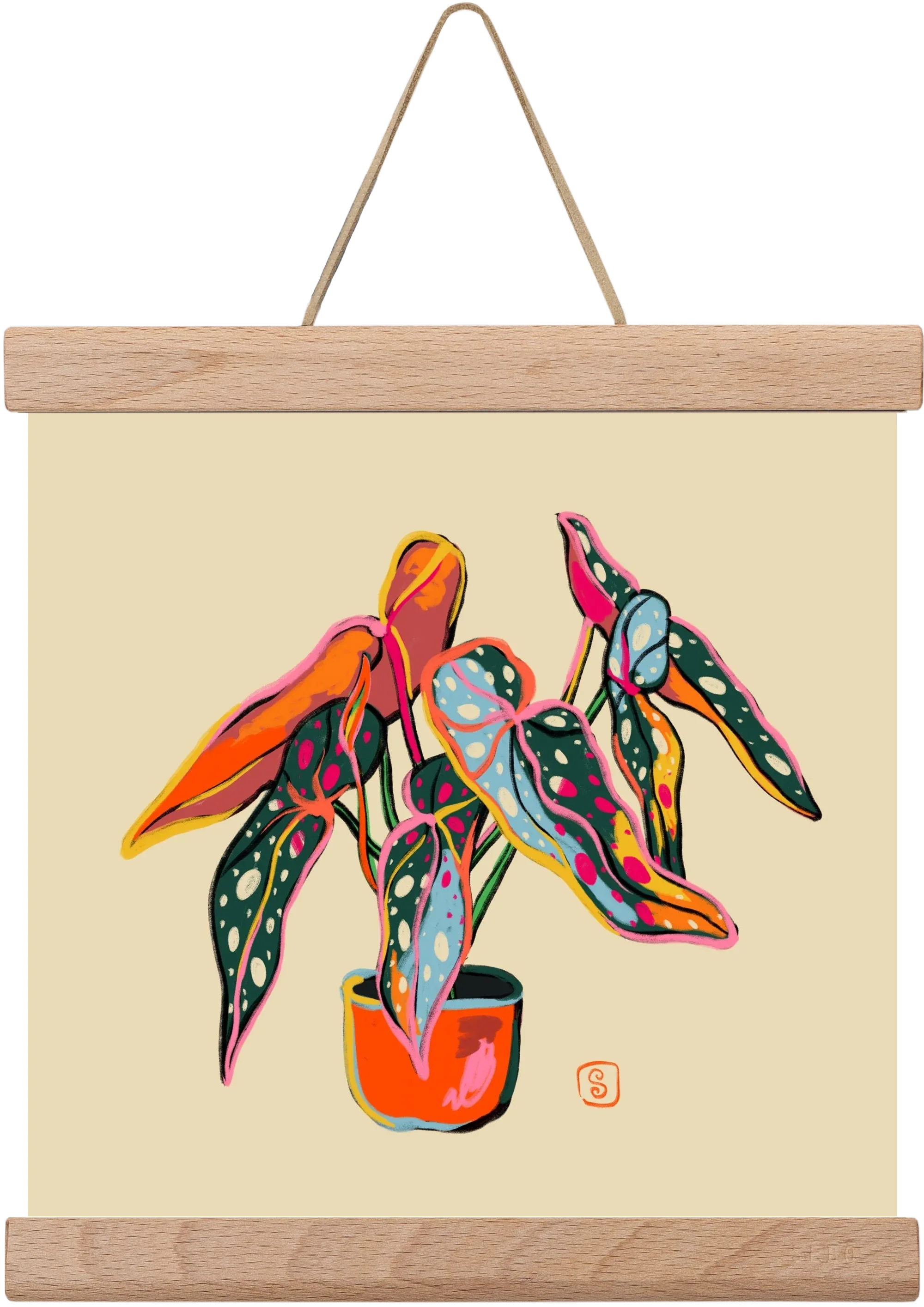 COLOURFUL BEGONIA PLANT - artbridge