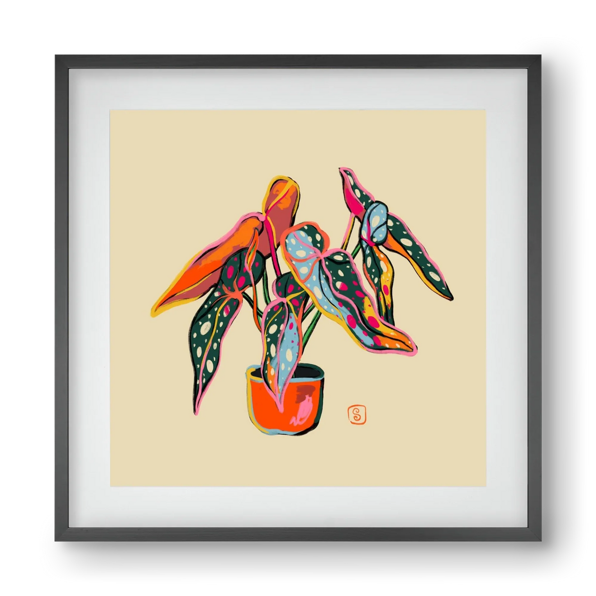 COLOURFUL BEGONIA PLANT - artbridge