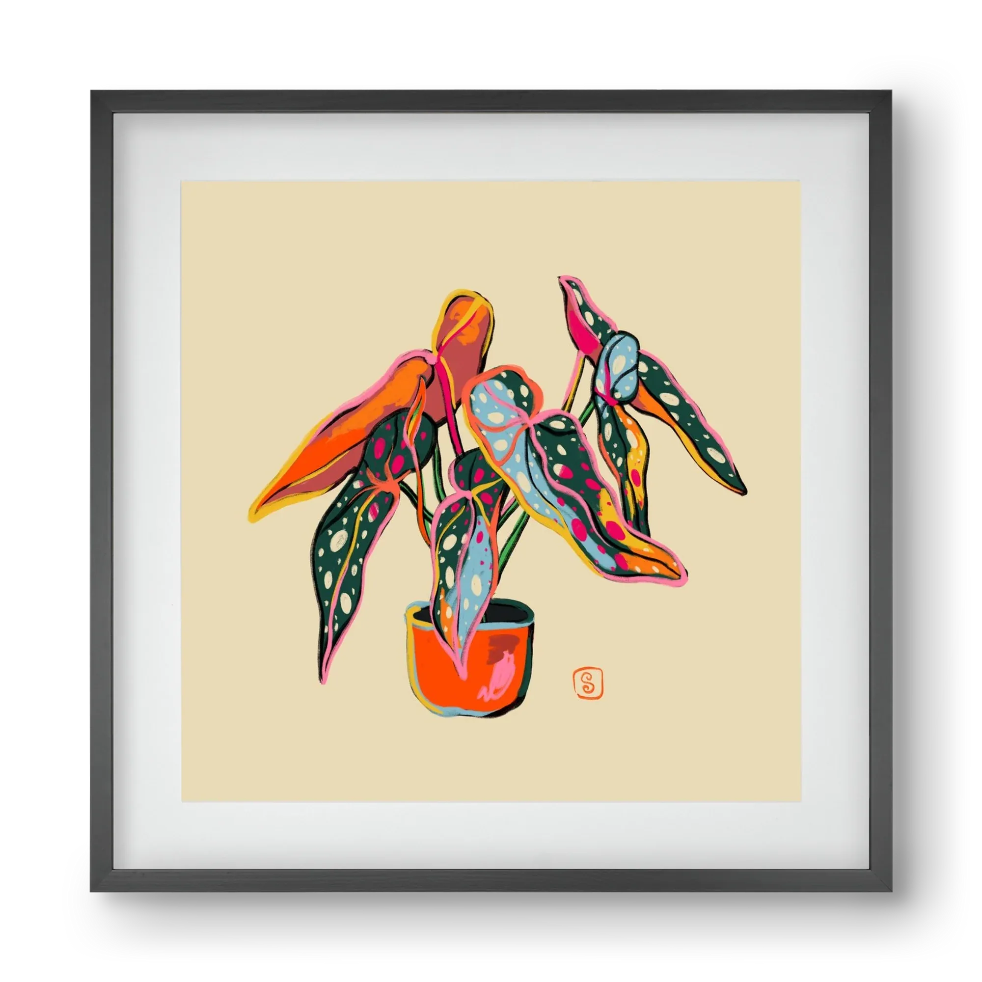 COLOURFUL BEGONIA PLANT - artbridge