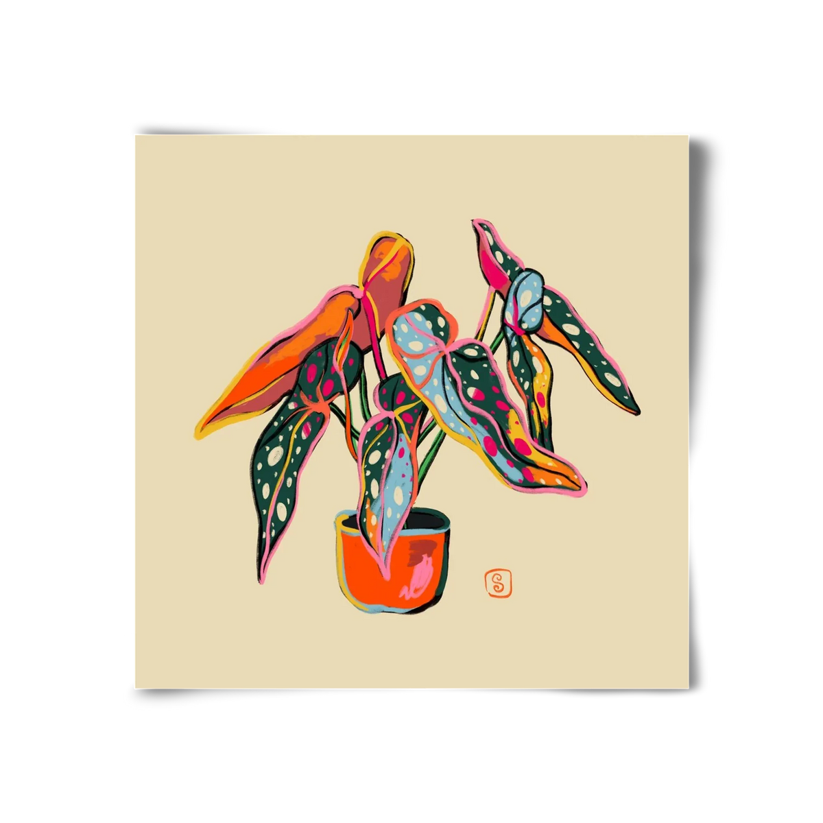 COLOURFUL BEGONIA PLANT - artbridge