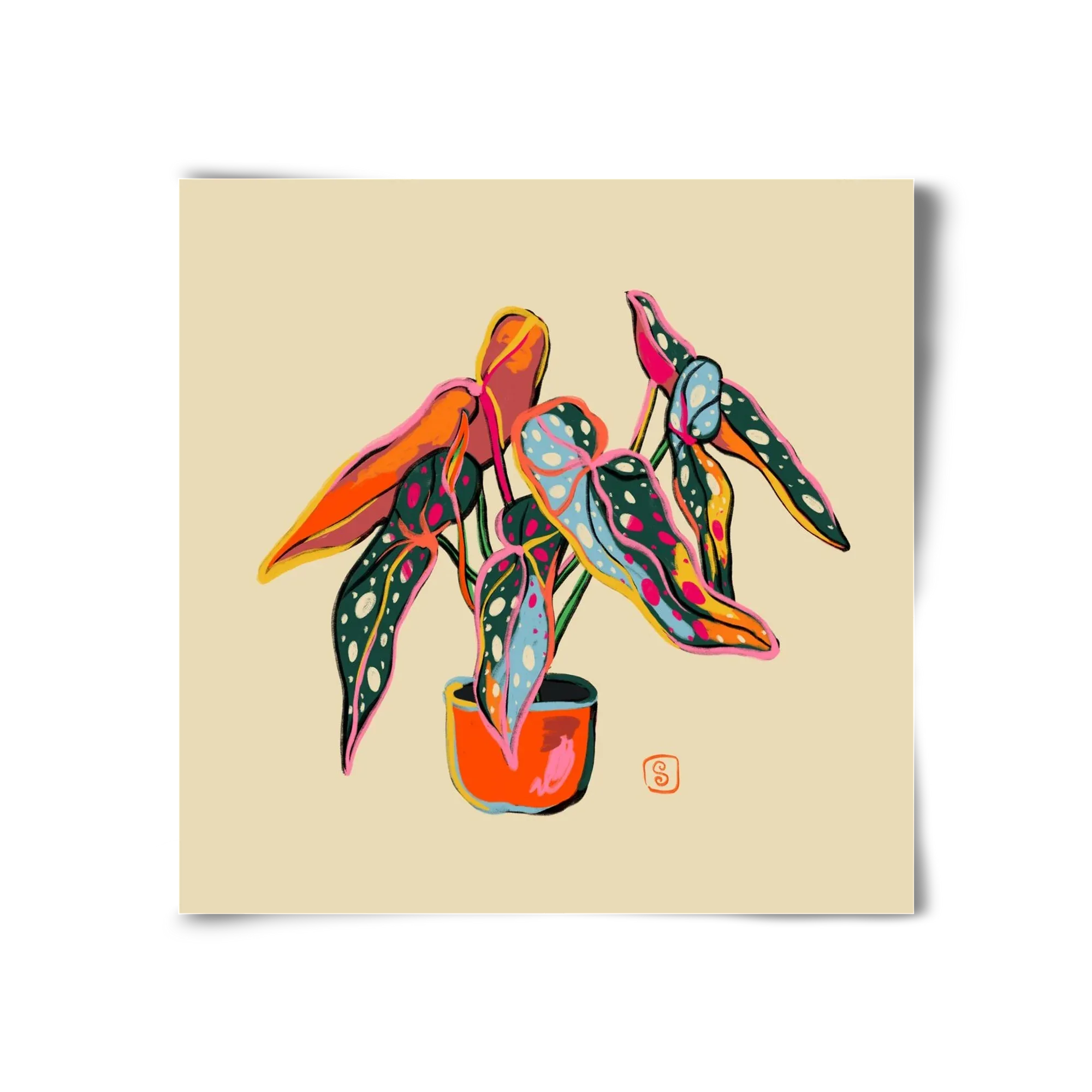 COLOURFUL BEGONIA PLANT - artbridge