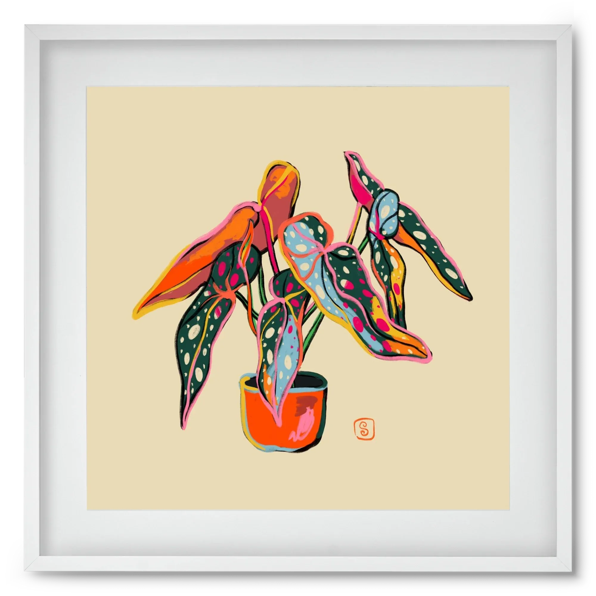 COLOURFUL BEGONIA PLANT - artbridge