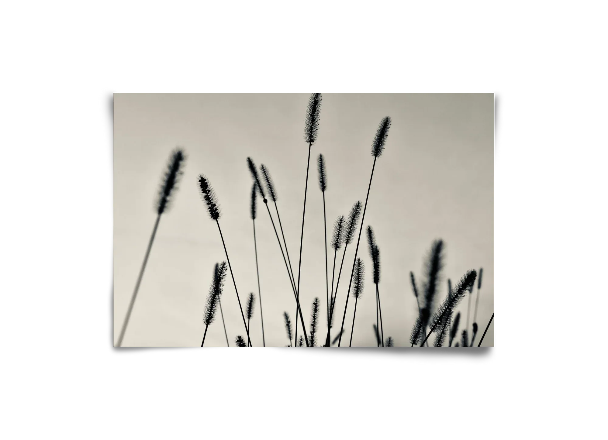 Cloud light - artbridge
