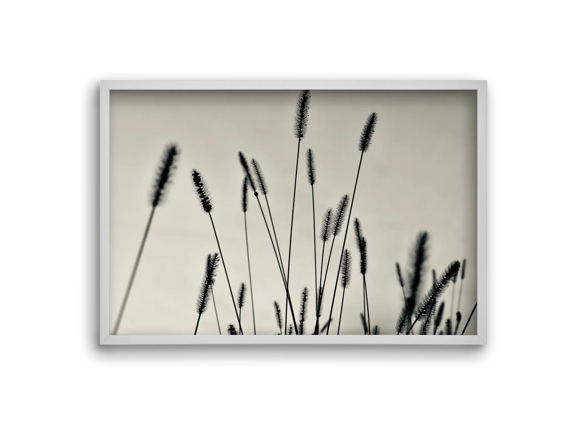 Cloud light - artbridge