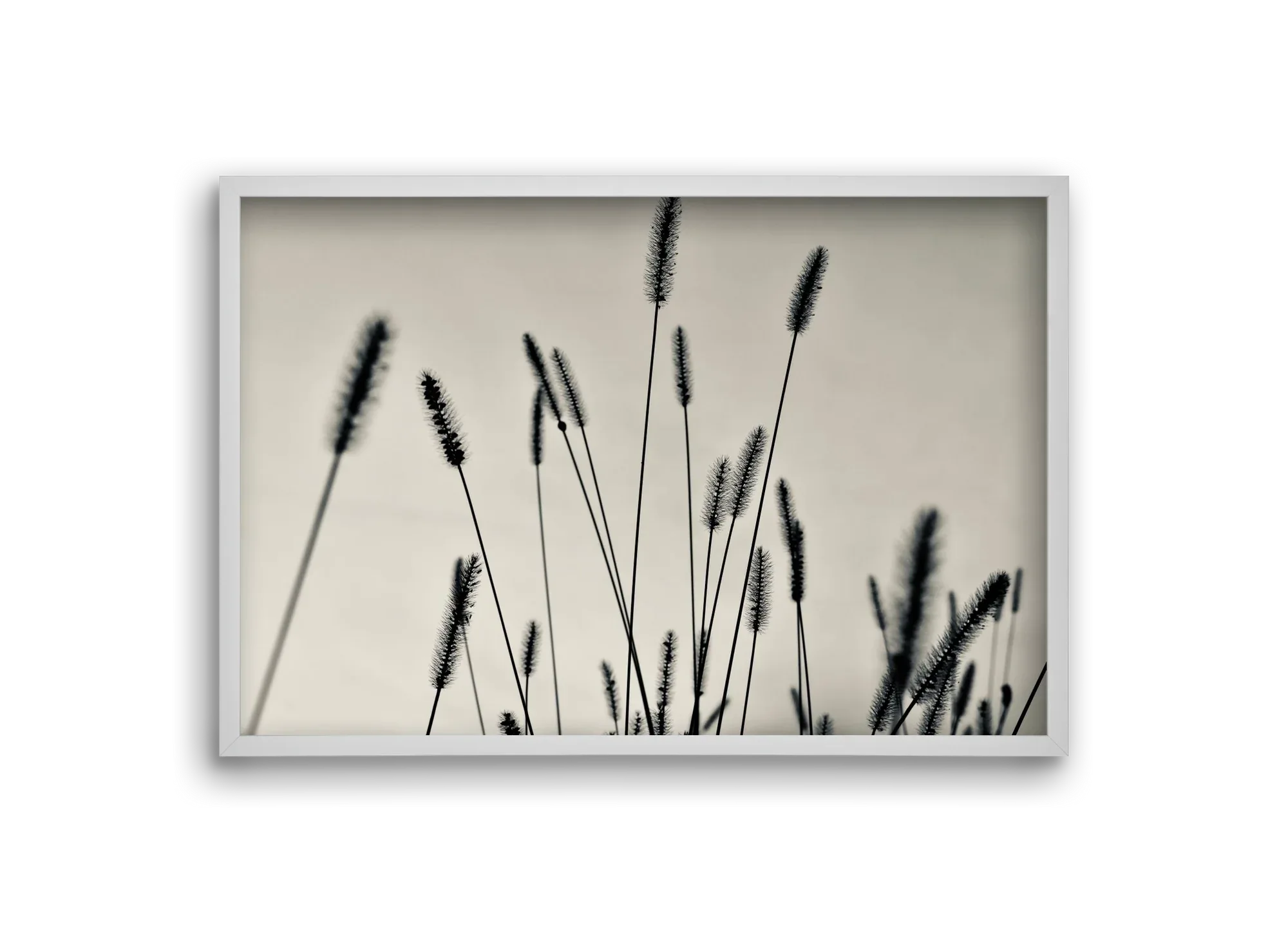 Cloud light - artbridge