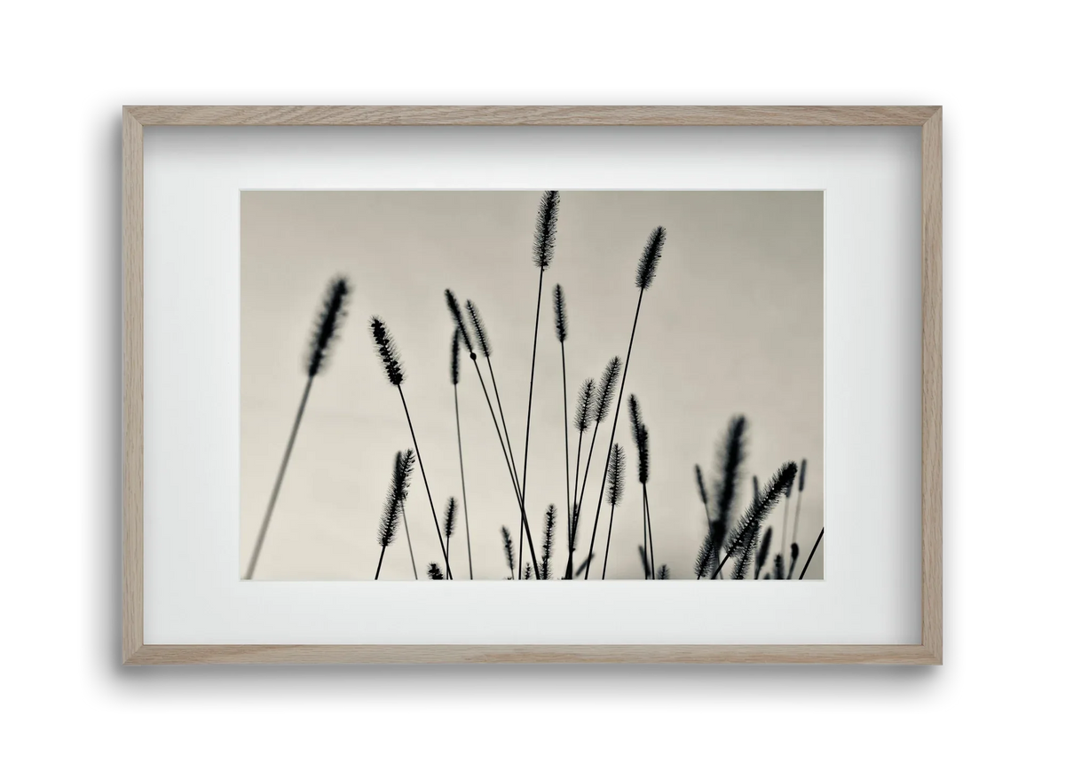 Cloud light - artbridge