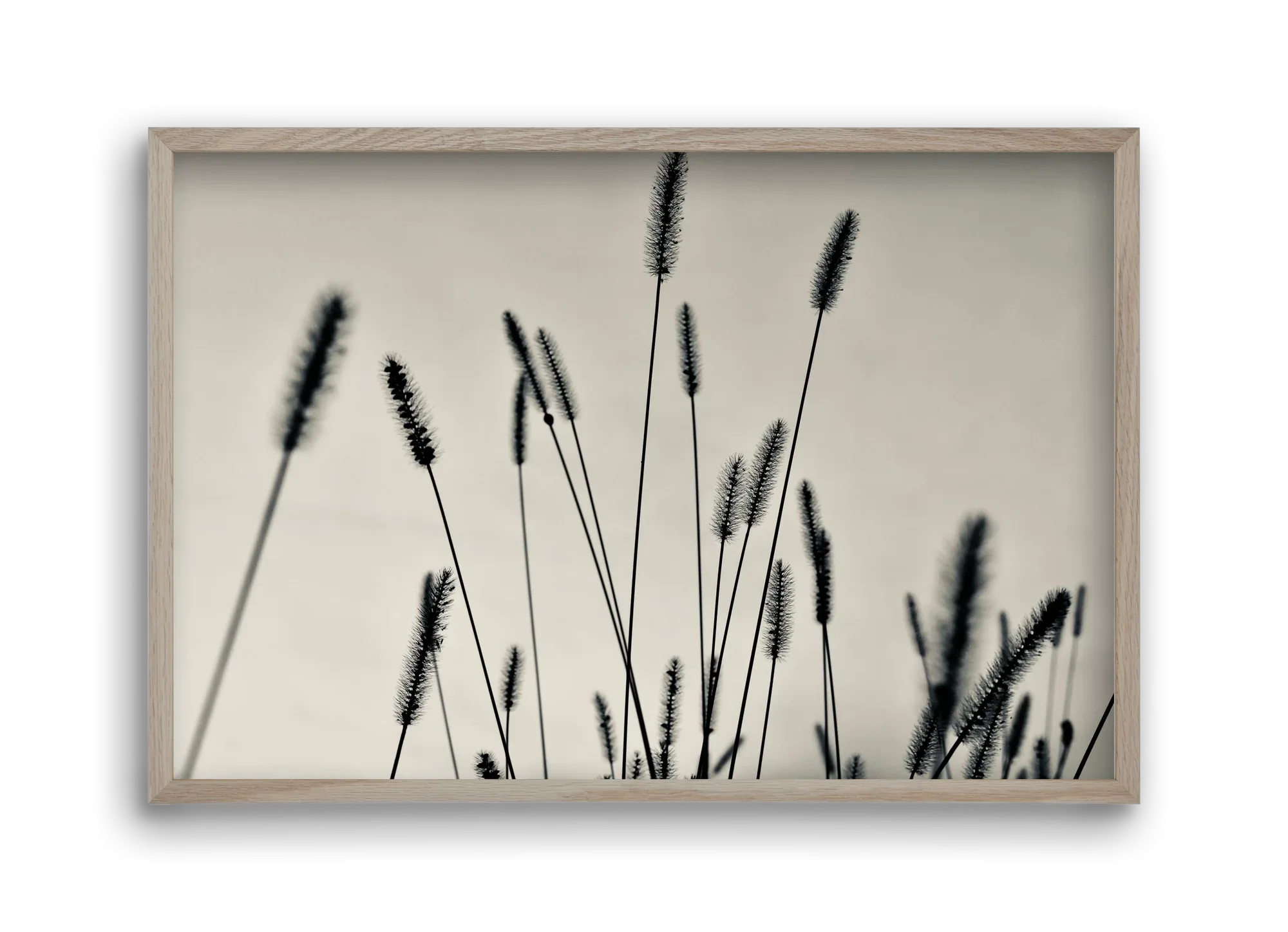 Cloud light - artbridge