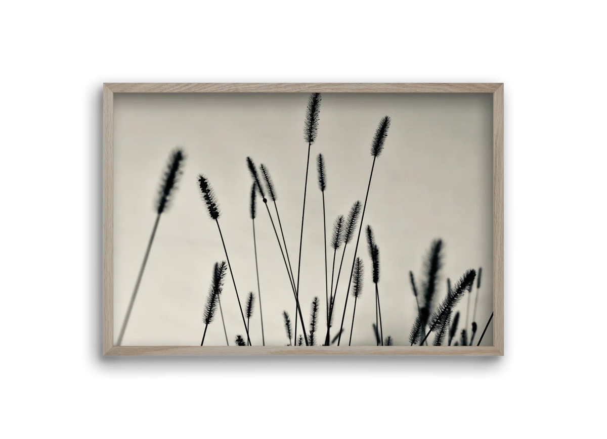 Cloud light - artbridge