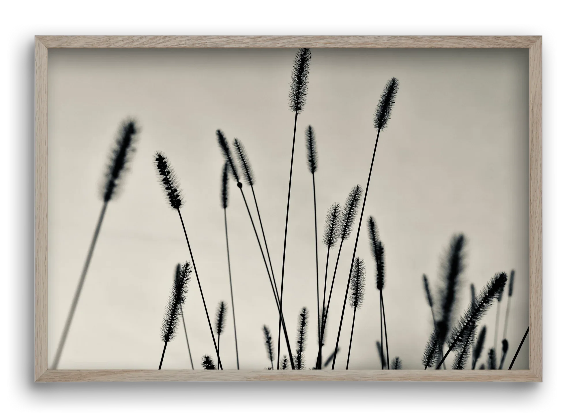 Cloud light - artbridge