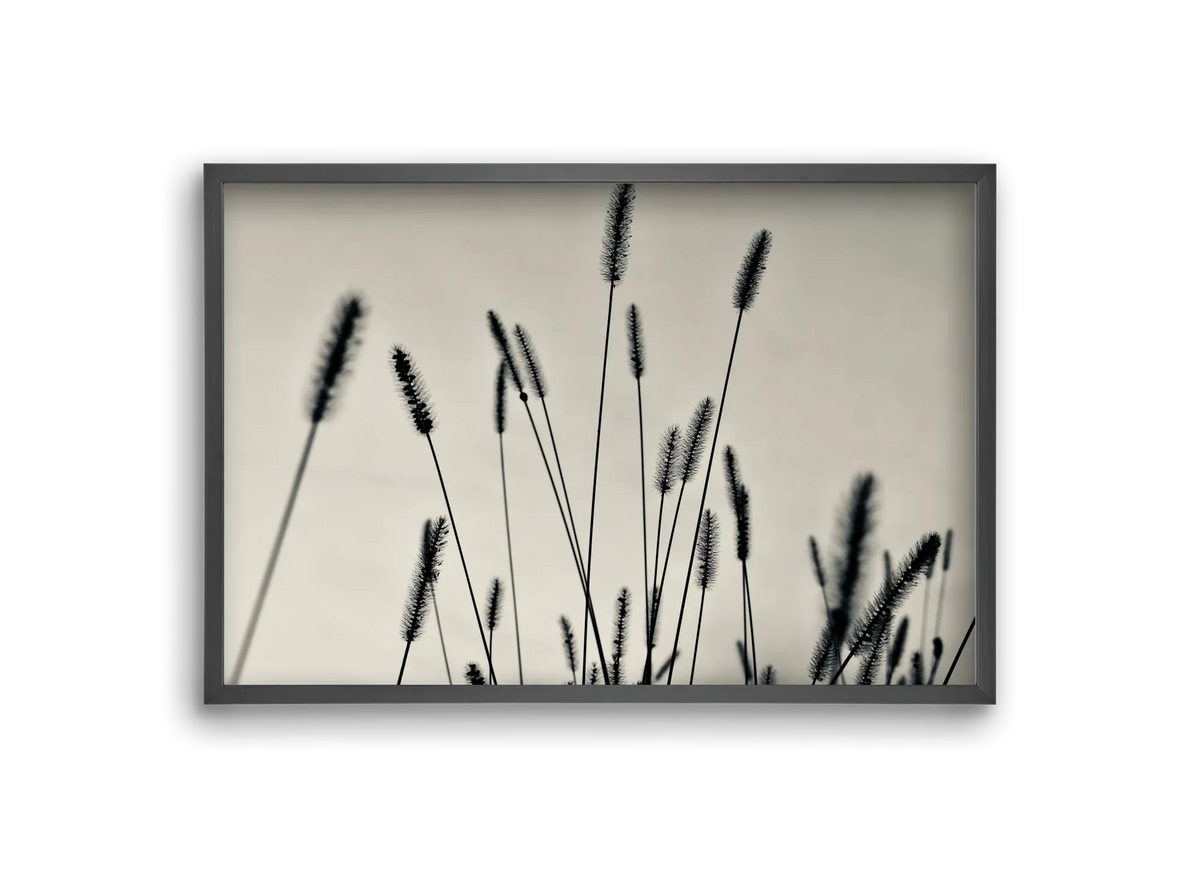 Cloud light - artbridge
