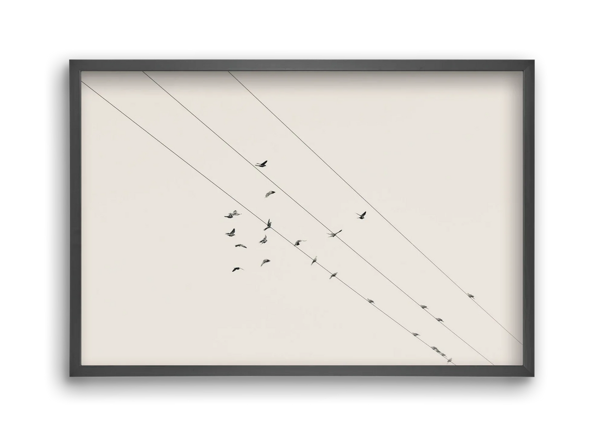Matrix - artbridge