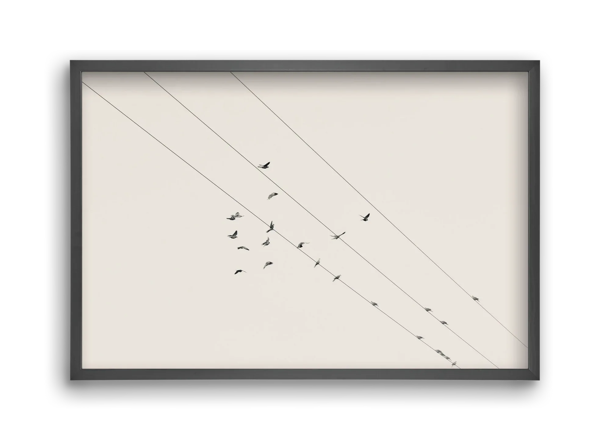 Matrix - artbridge