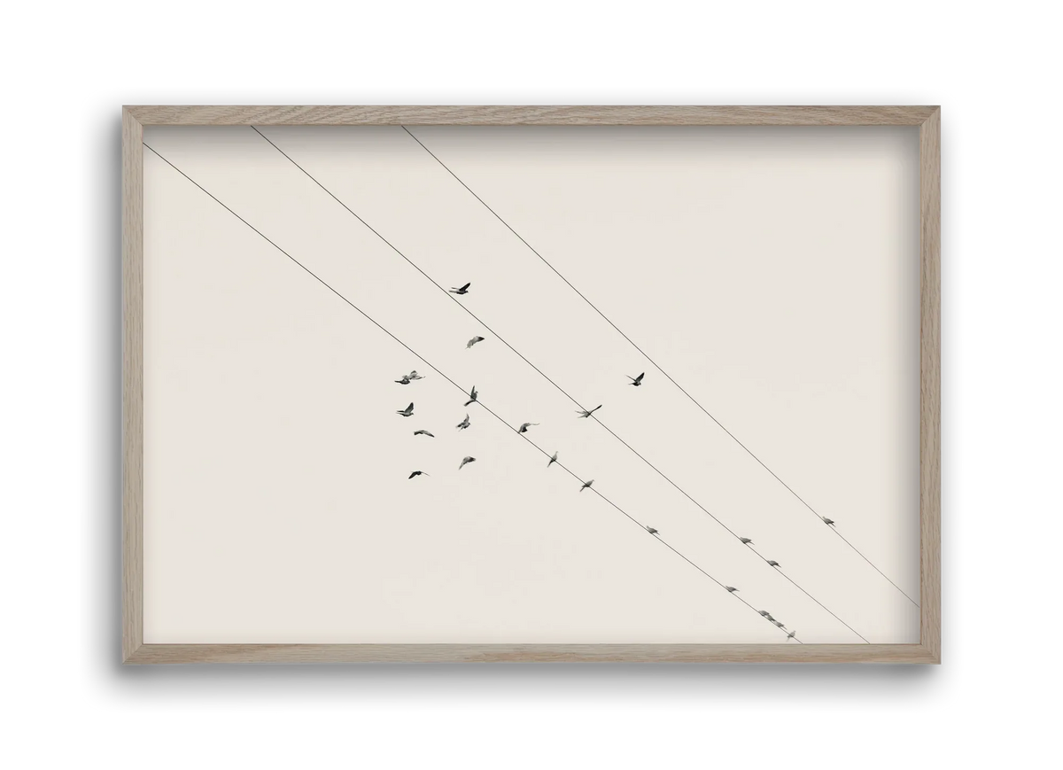 Matrix - artbridge